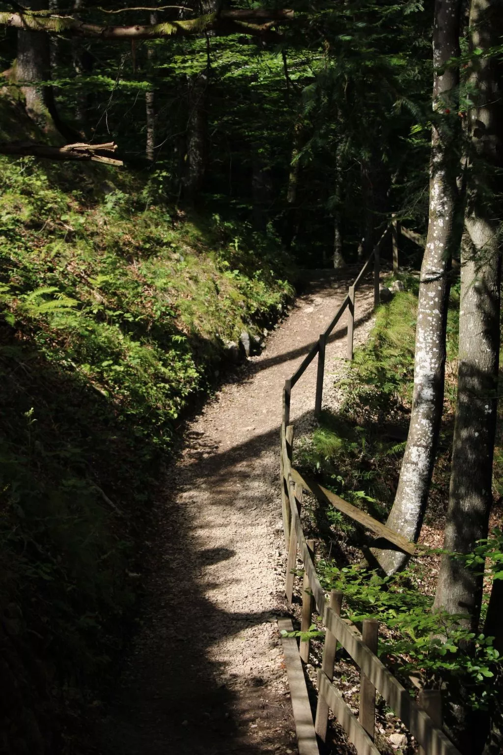 Emma - Image-tags.info