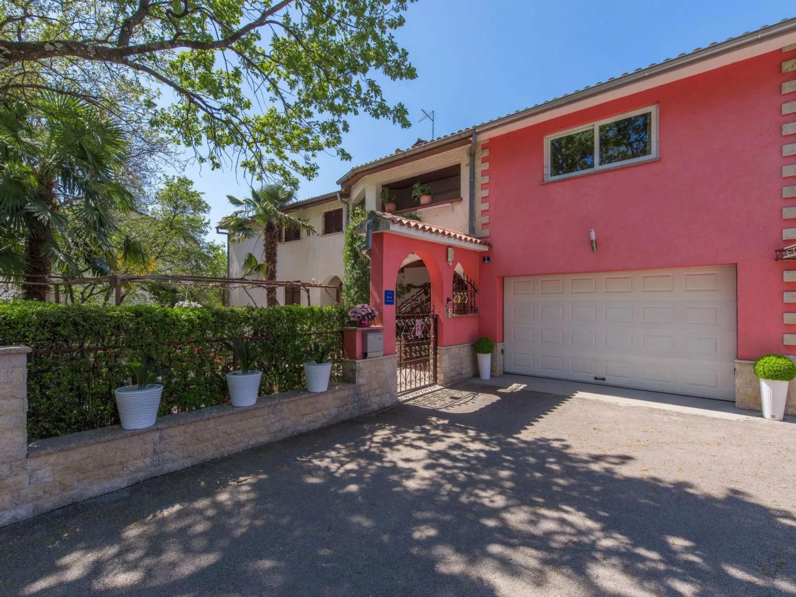 Felix - Image-tags.info