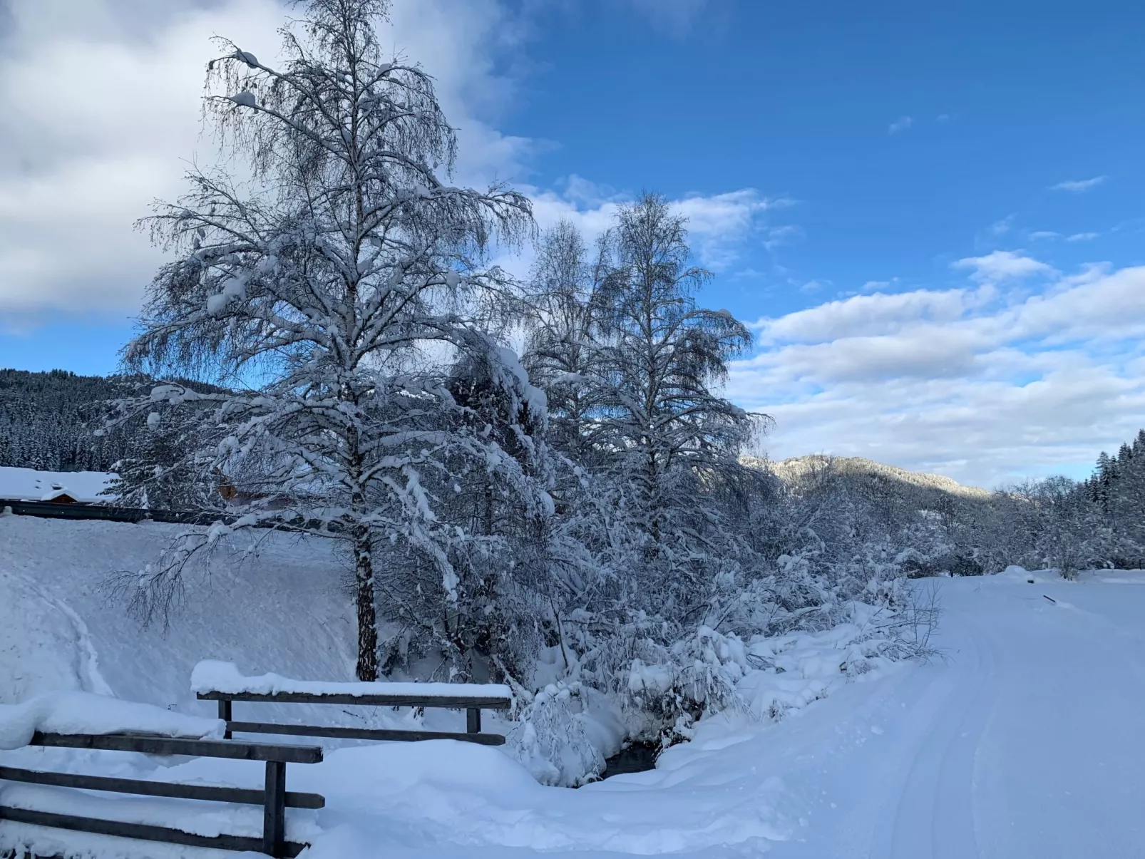 Chalet Elsa Murau - Draußen