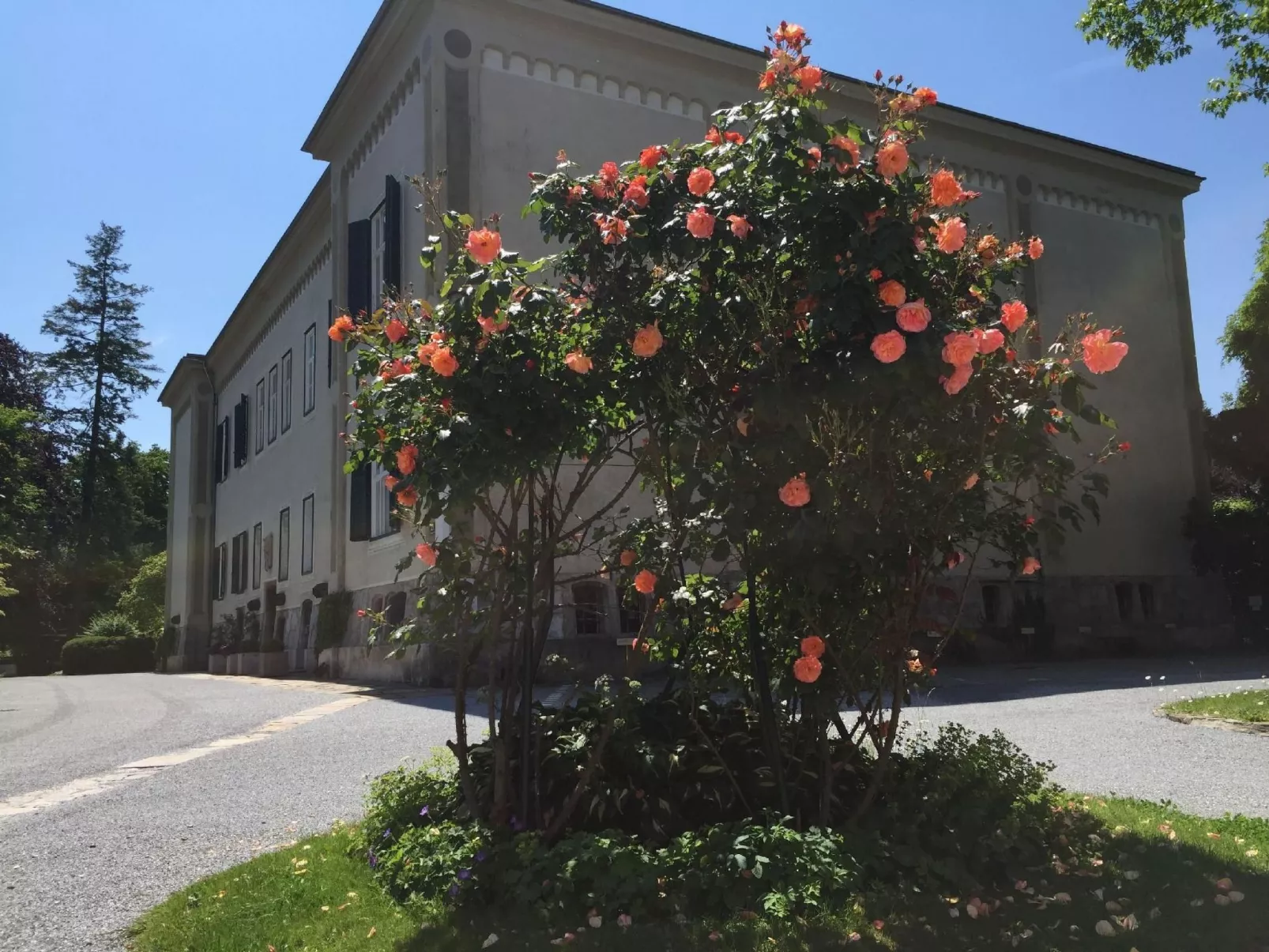 Orange Flat neben K-F-Universität, neu und gemütlich, mit Parkplatz - Image-tags.info