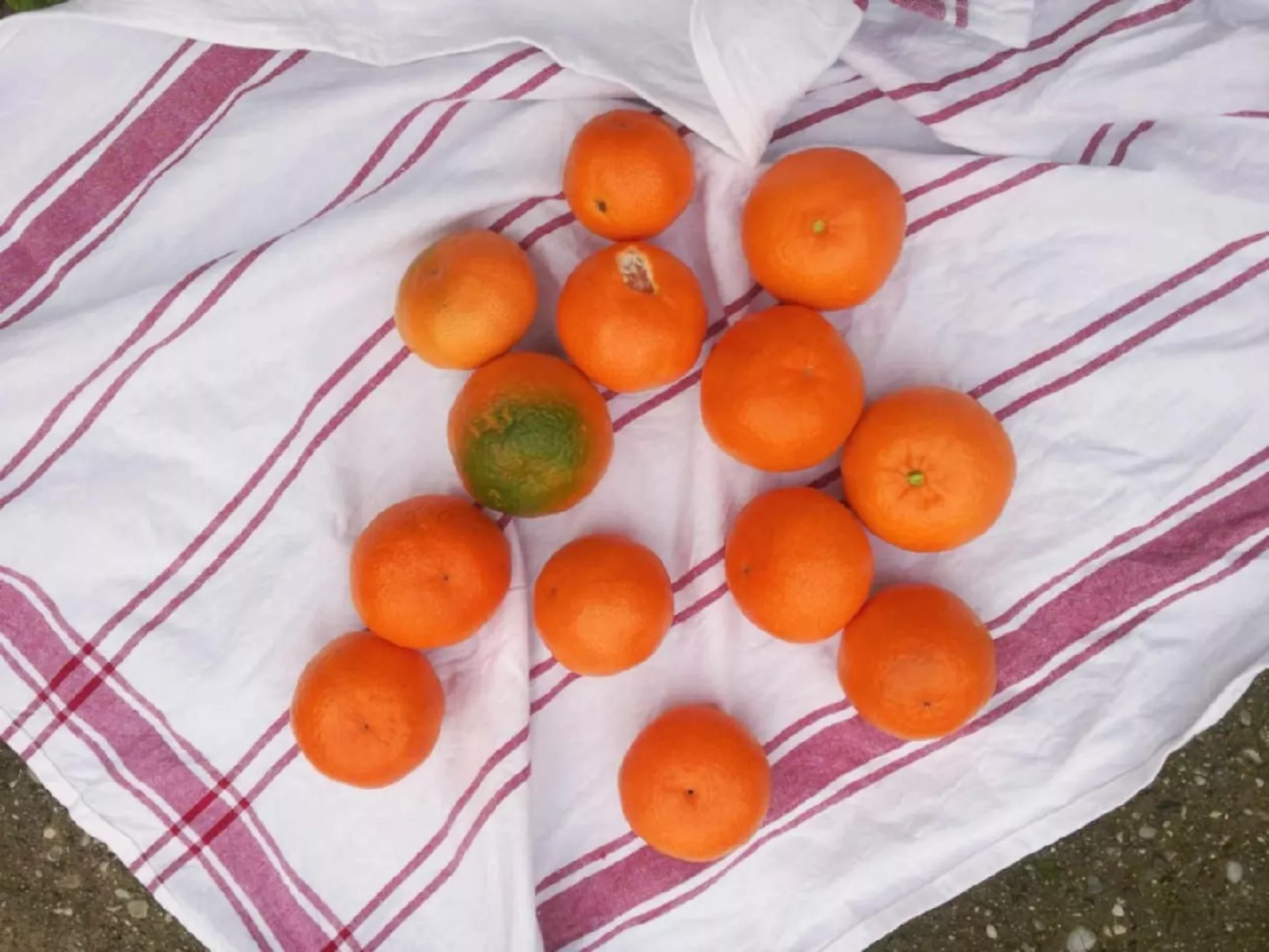 Locations-06 - Die Eugenie - Image-tags.info