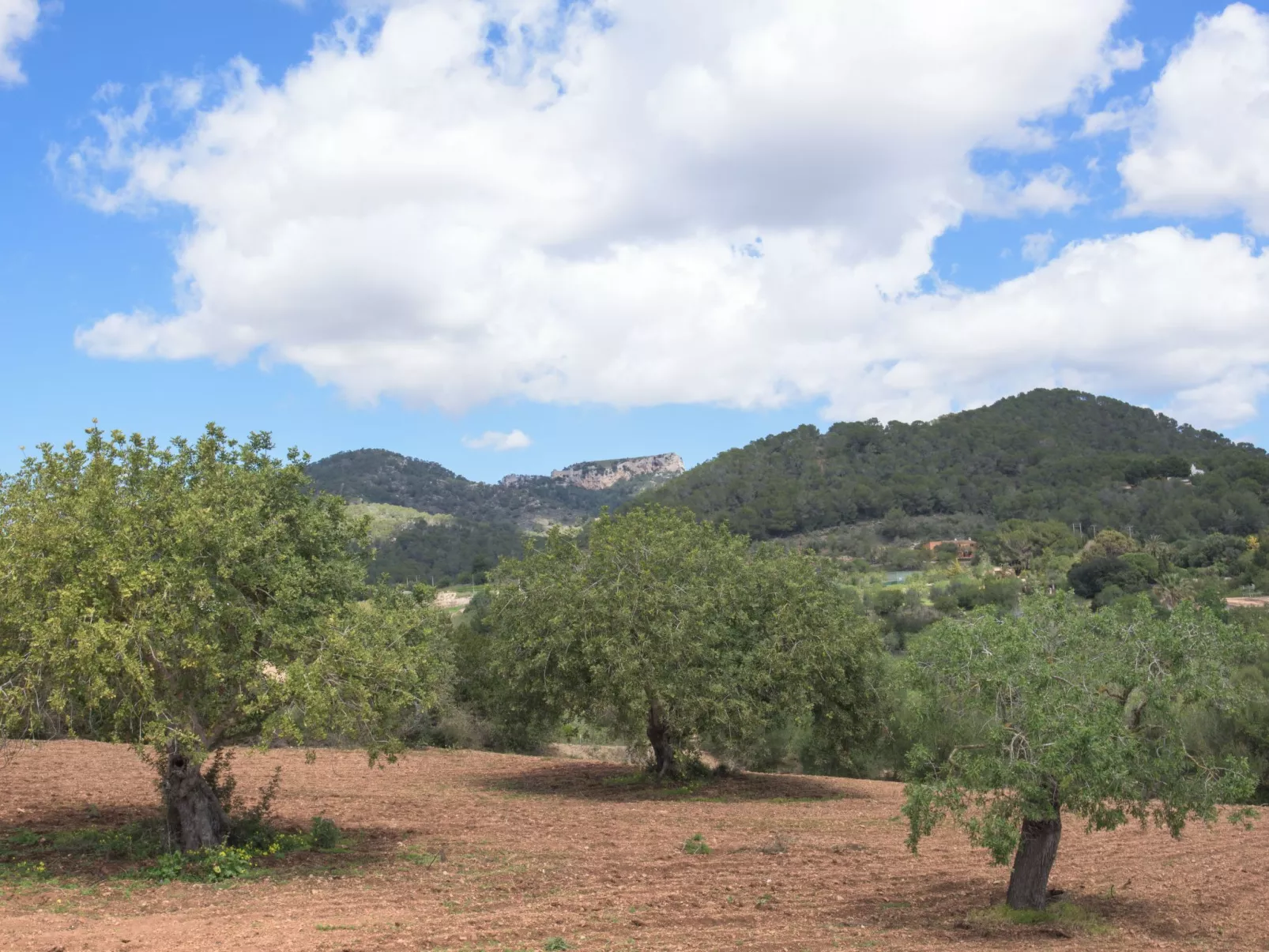Batlet - Dehors