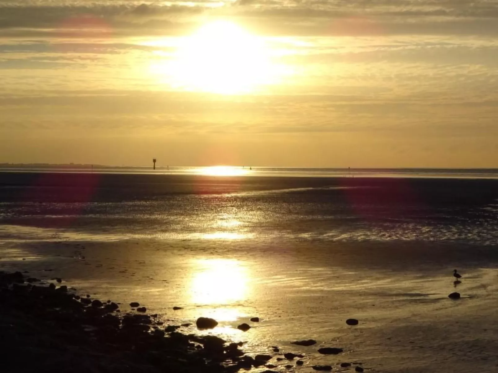 Haus Seestern - Image-tags.info