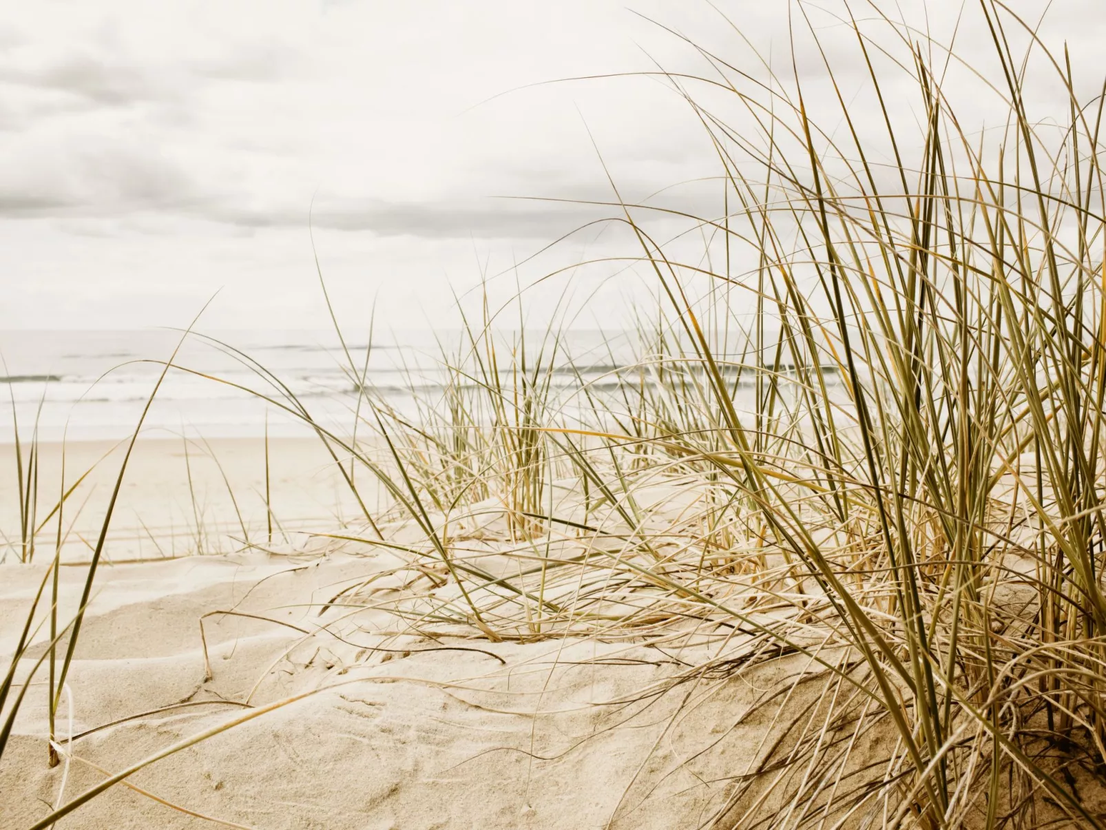DünenHuuske "InselHartje" mit Sauna auf Spiekeroog - Image-tags.info