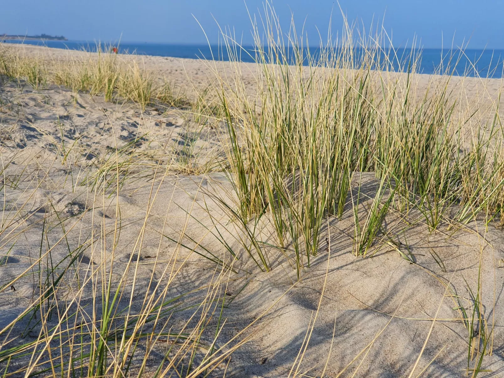Komfortable Ferienwohnung in Ostseebad Damp mit Großer Terrasse - Image-tags.info