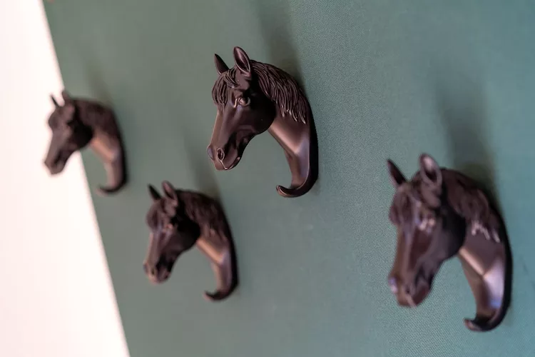 FeWo Seestern - Ambiente