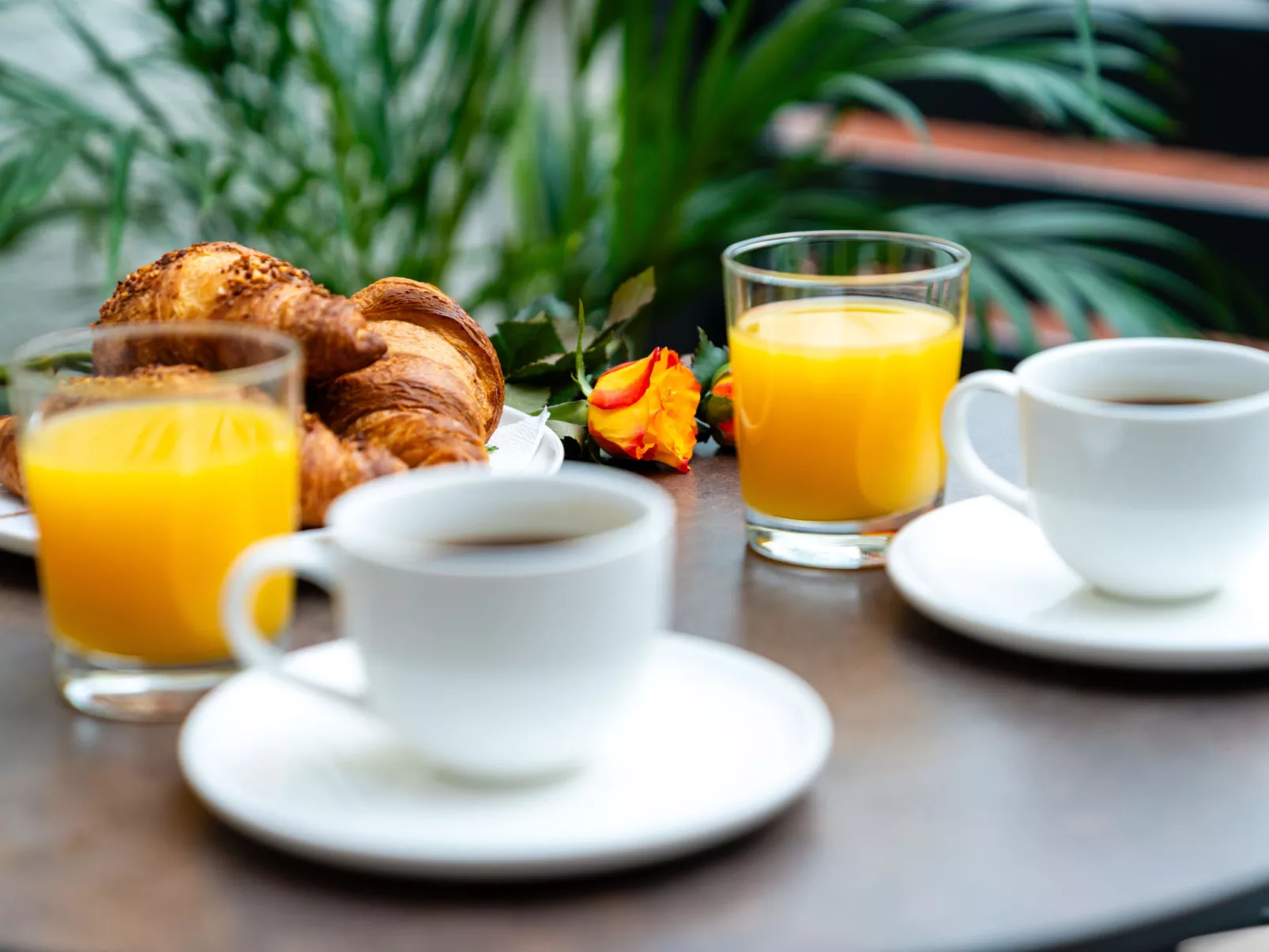 Apartment Lika - Dehors