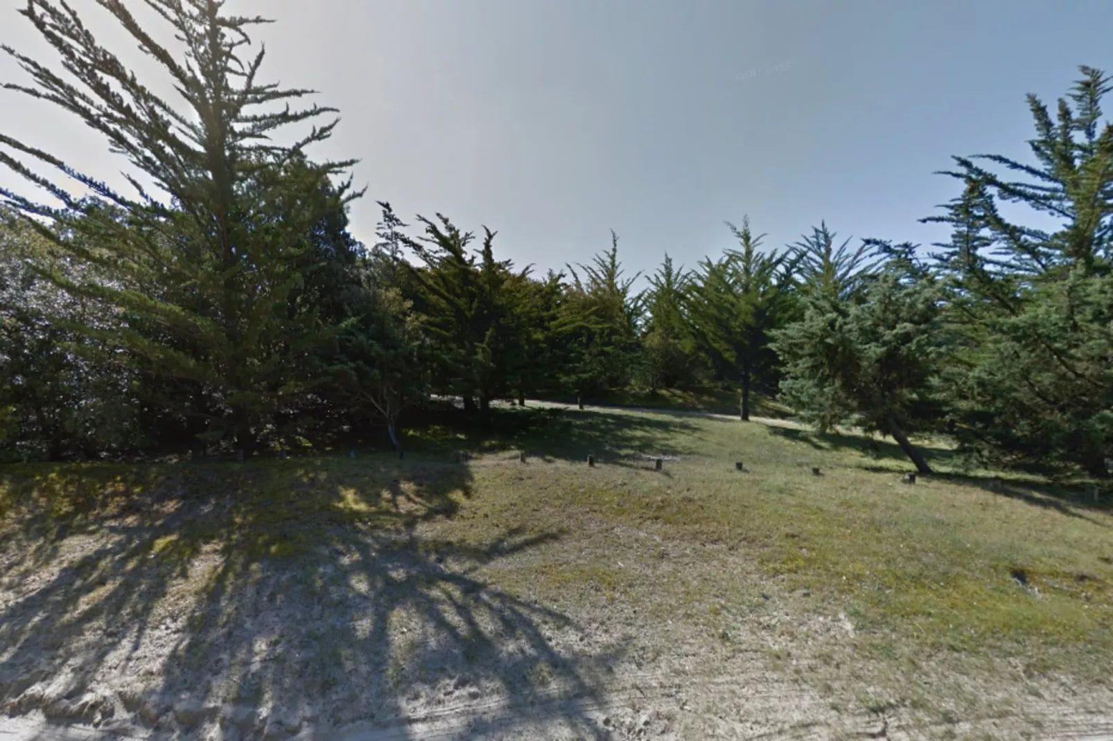 Villa Russie - Domaine Le Sherwood-Exterior in summer