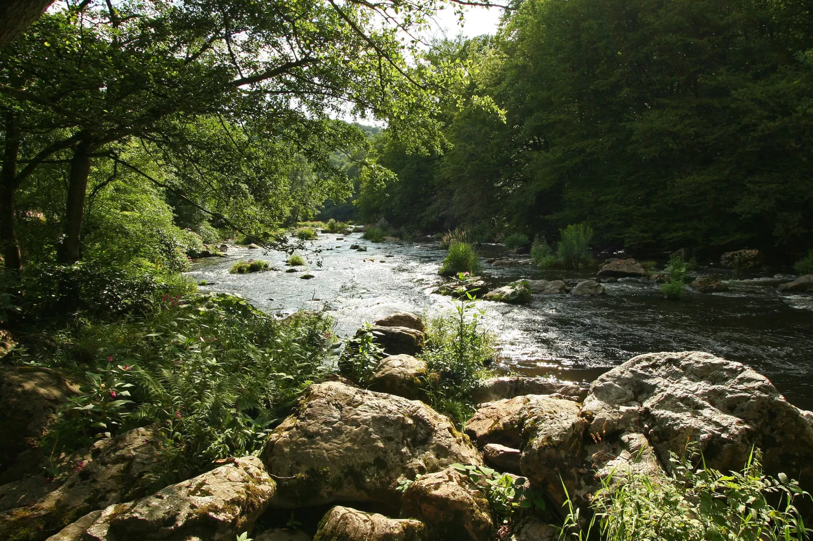 La Cabane de Jade - Zones été à 1 km