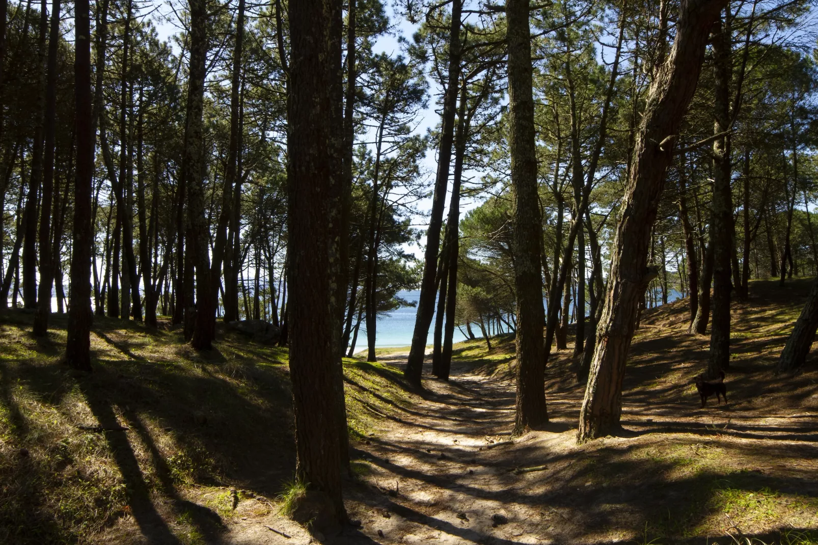 Dupplex I - Gebiete Sommer 1 km