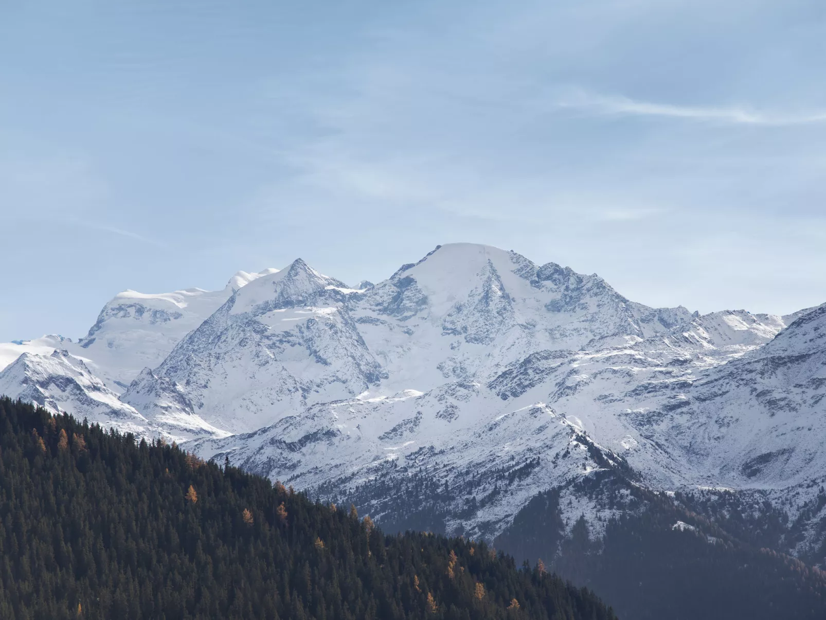 Orchidée 111-Outside