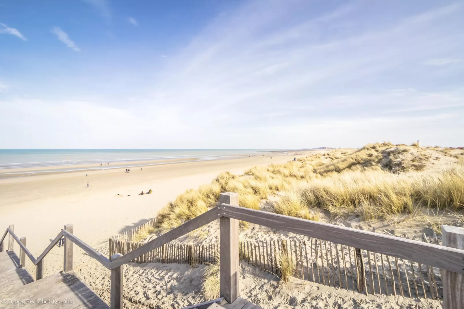 BEAULIEU 0602PK-Areas within 20km in summer