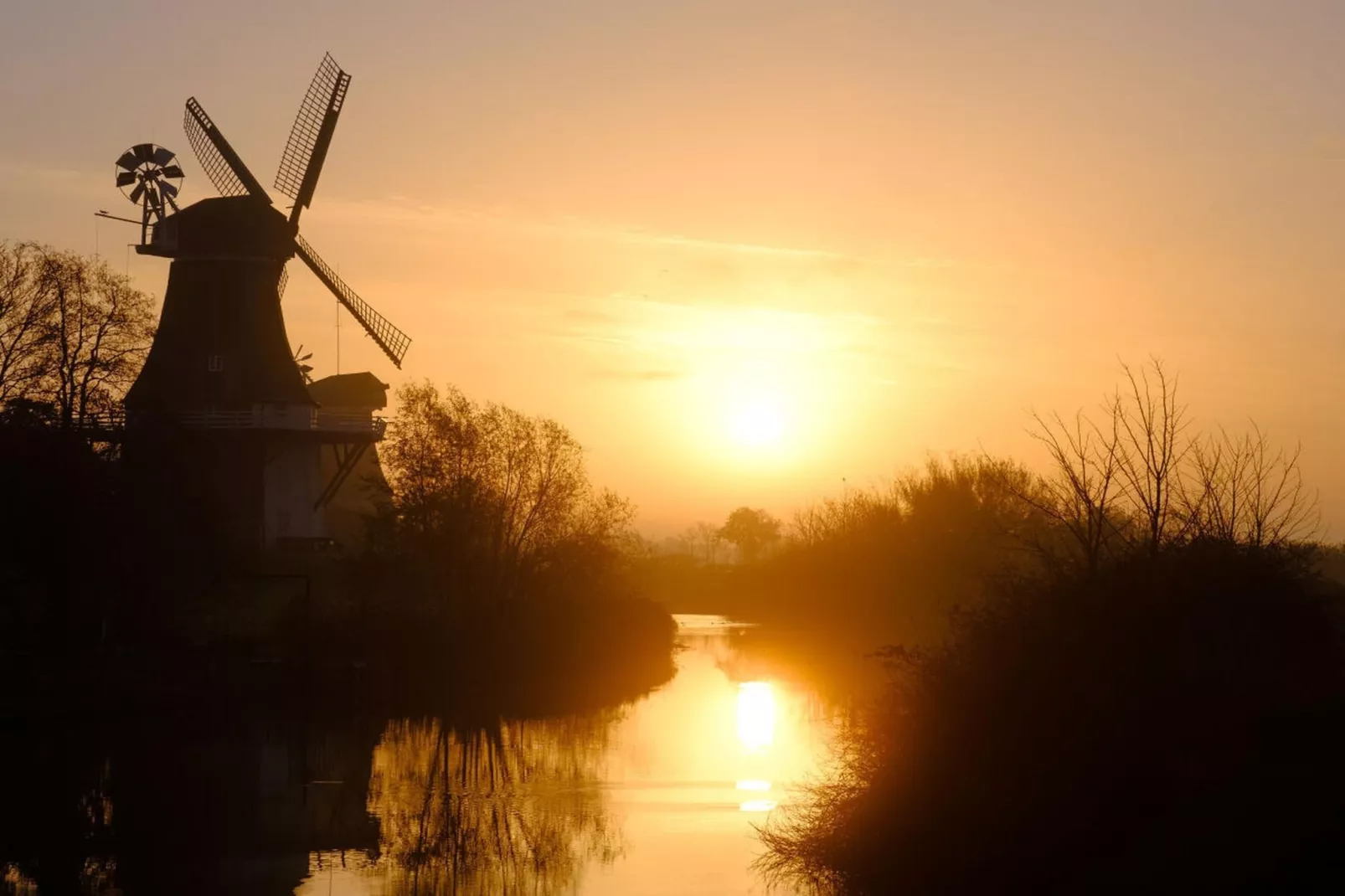 467005-Areas within 5km in summer