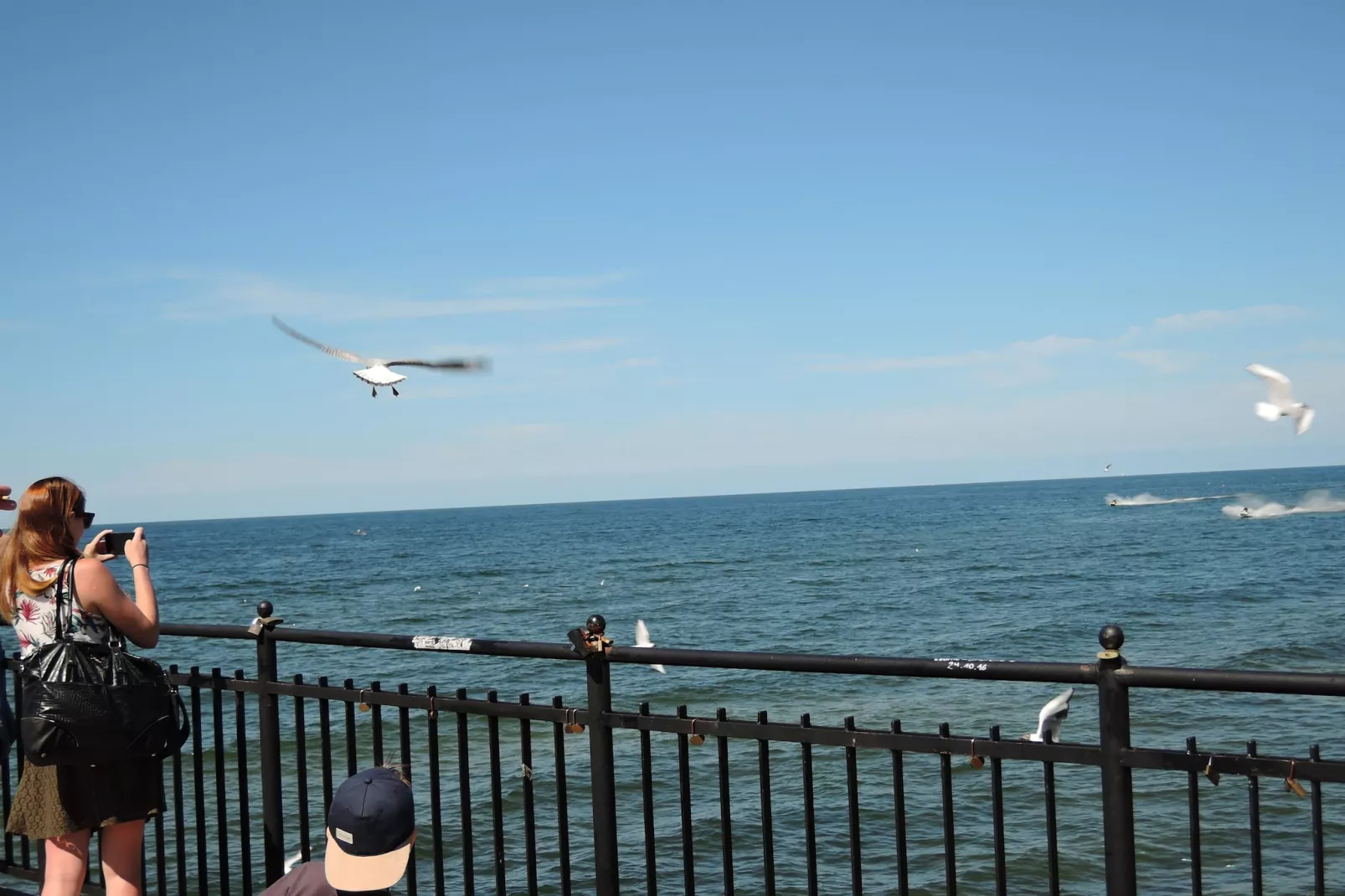 Domki Trebor dla 6 osób-Areas within 1km in summer