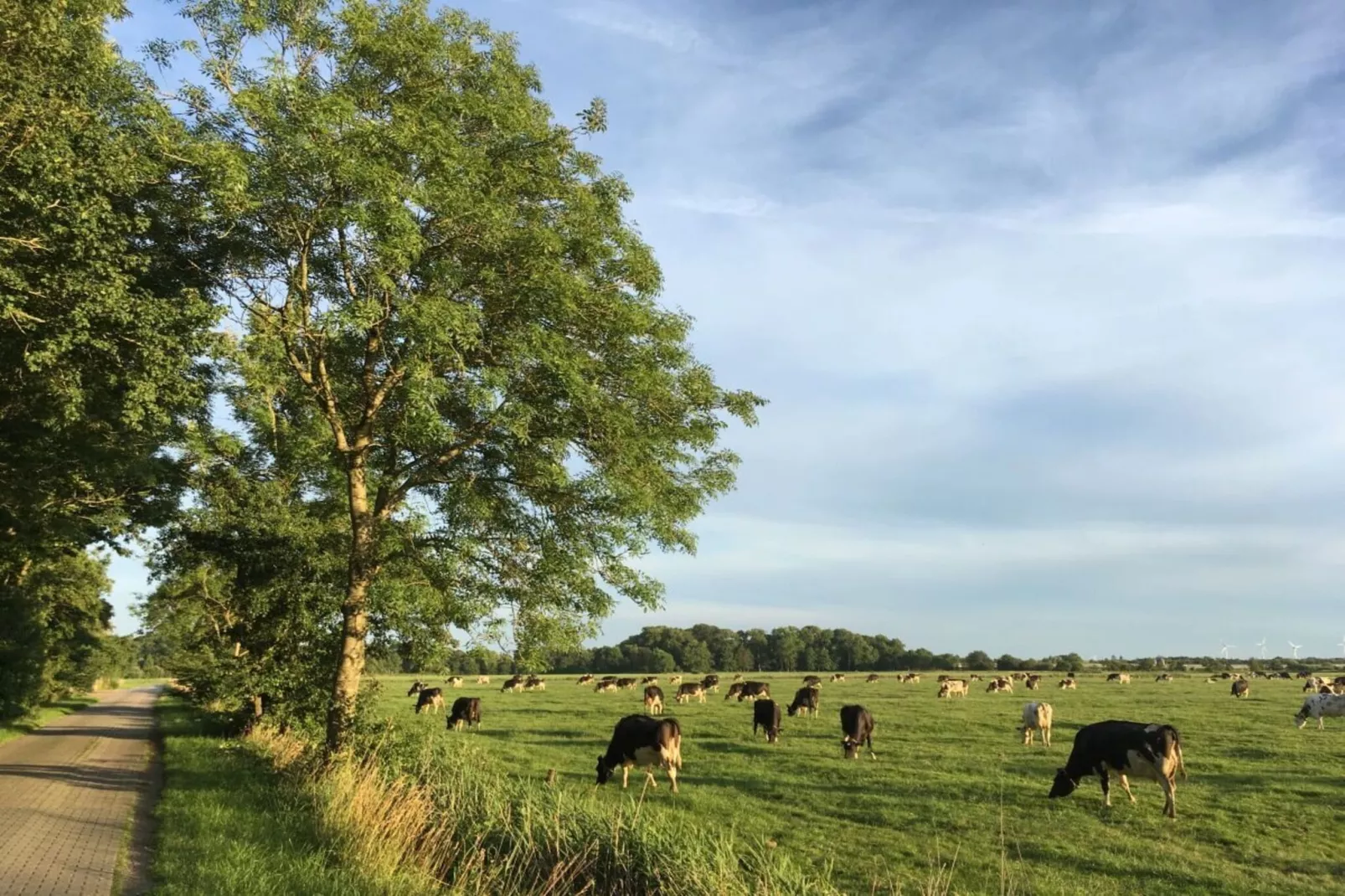 297205-Jardins en été