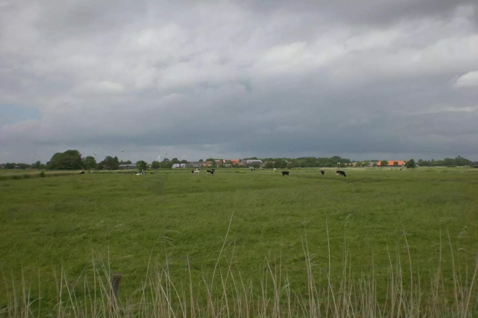 97432-Areas within 5km in summer