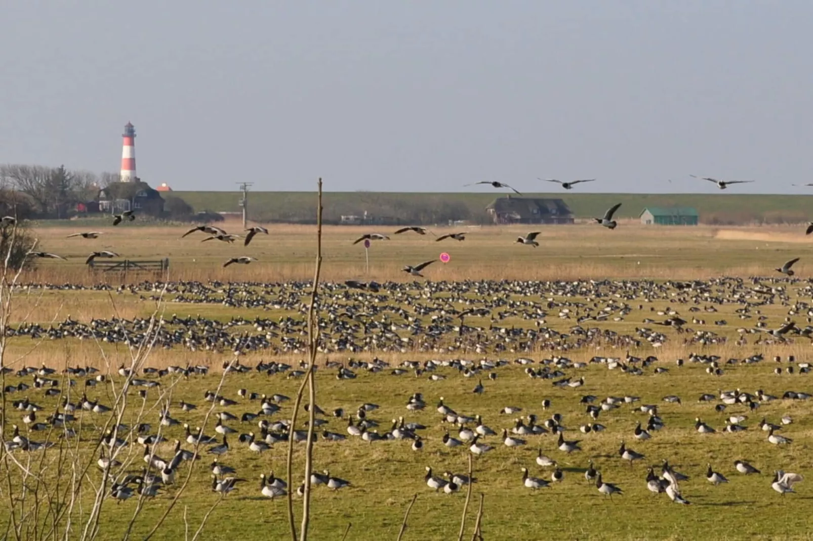 185172-Gebiete Sommer 5 km