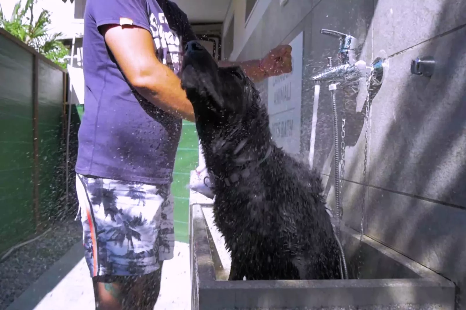 Caravanpark San Benedetto Camping Relais Peschiera / MH Borgo-Areas within 1km in summer