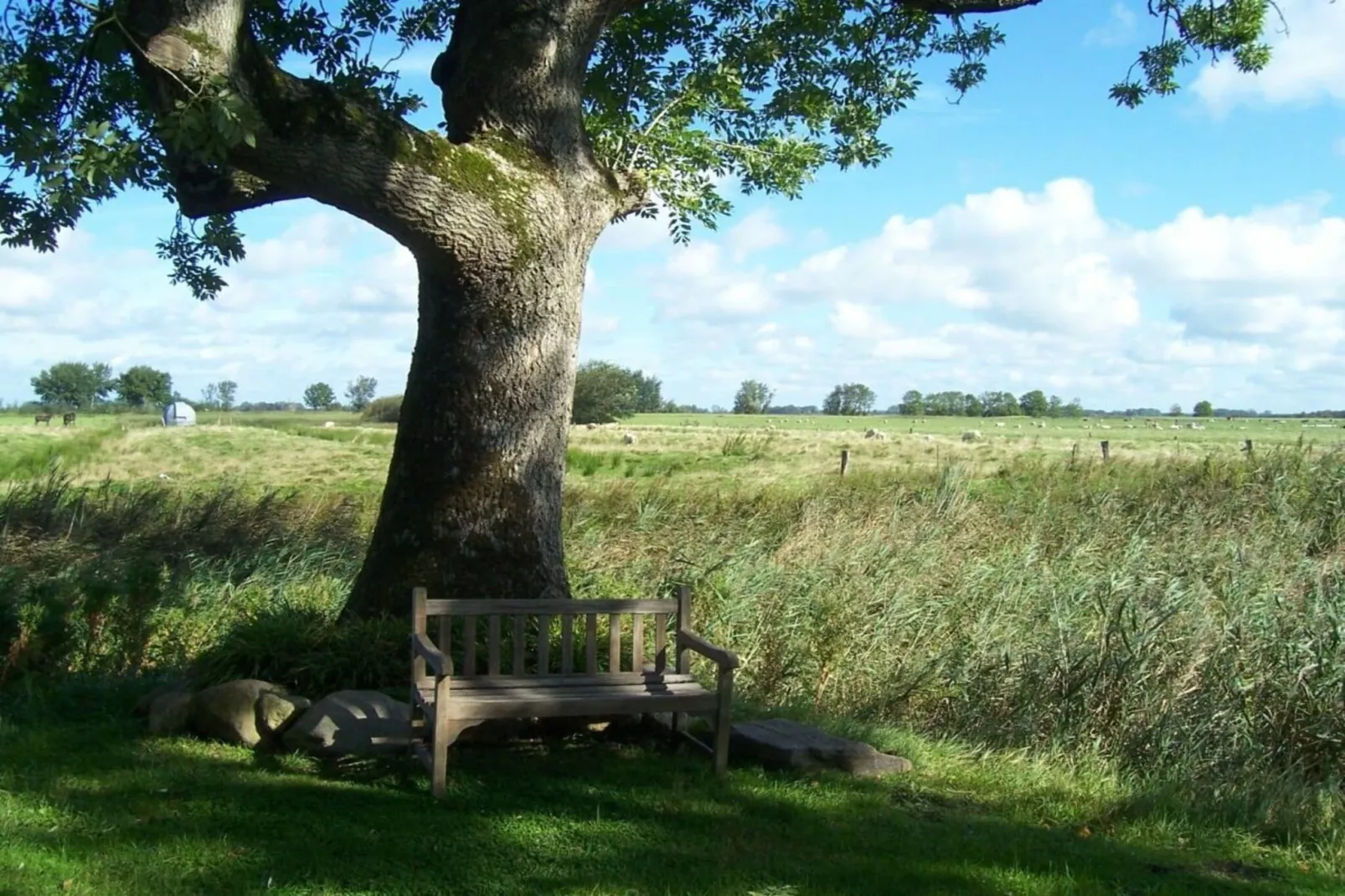 9376-Gardens in summer