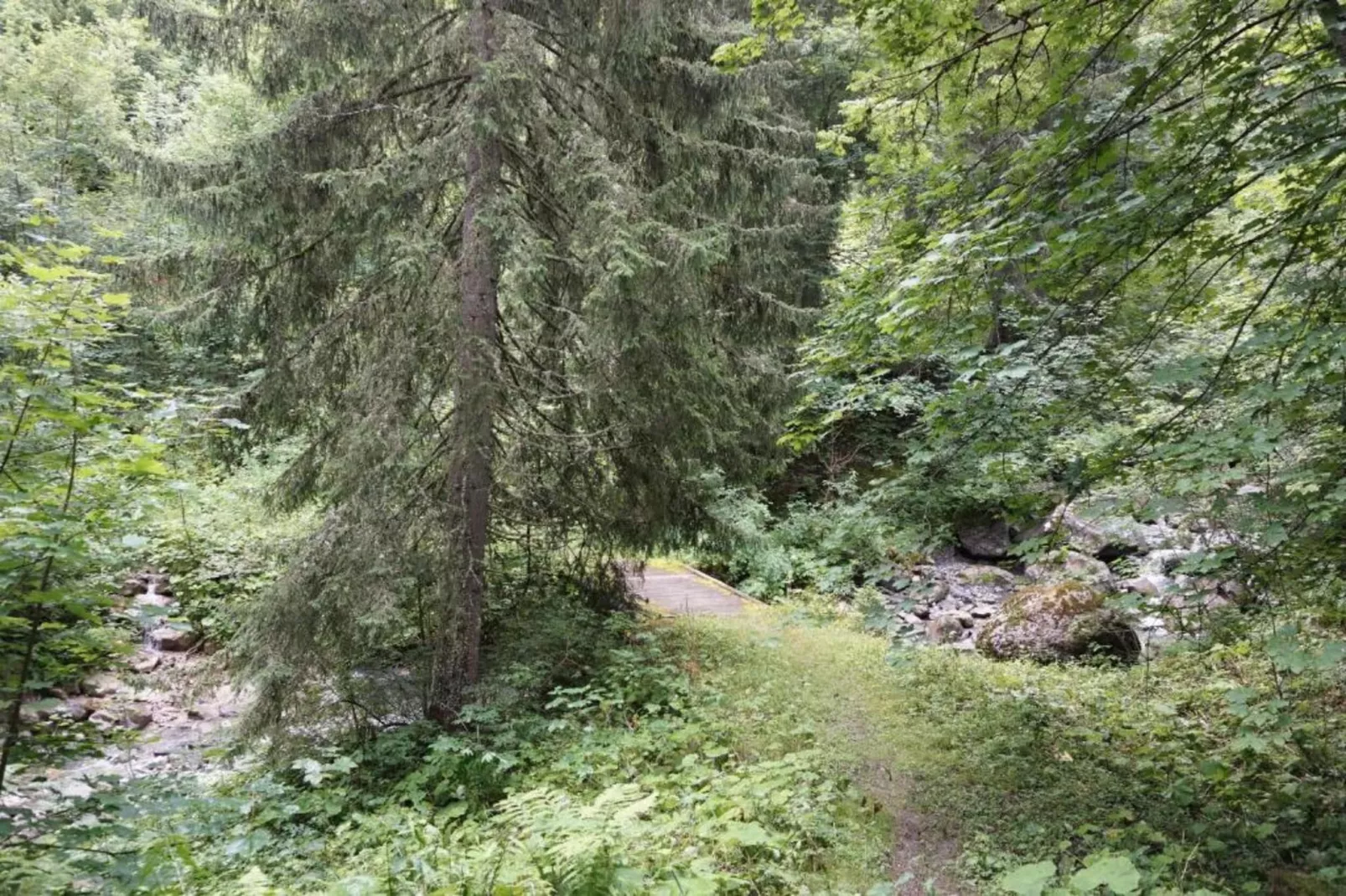 Les Cochettes N°166 - 4P8-Gebiete Sommer 20 km