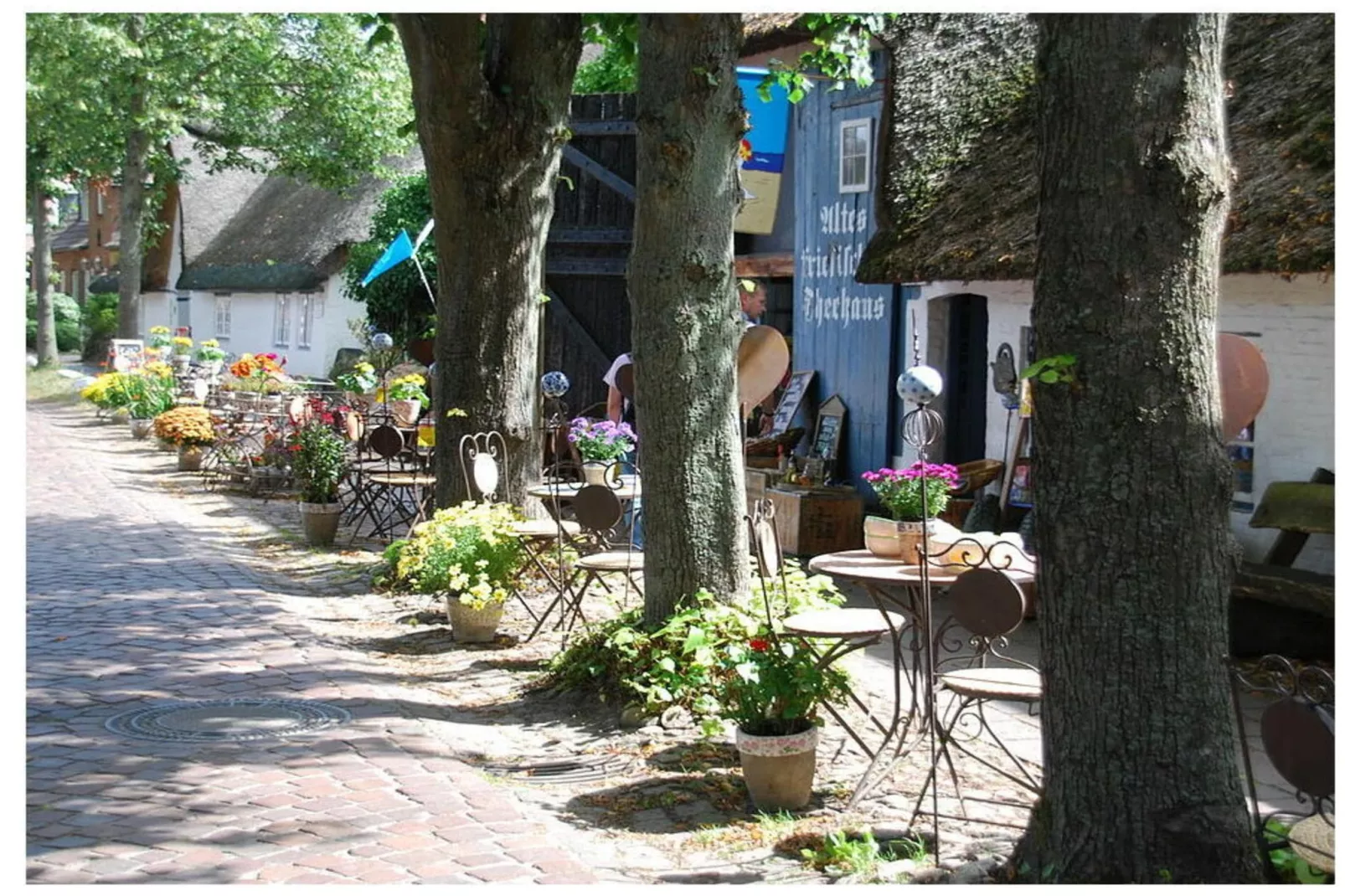 391987-Exterior in summer