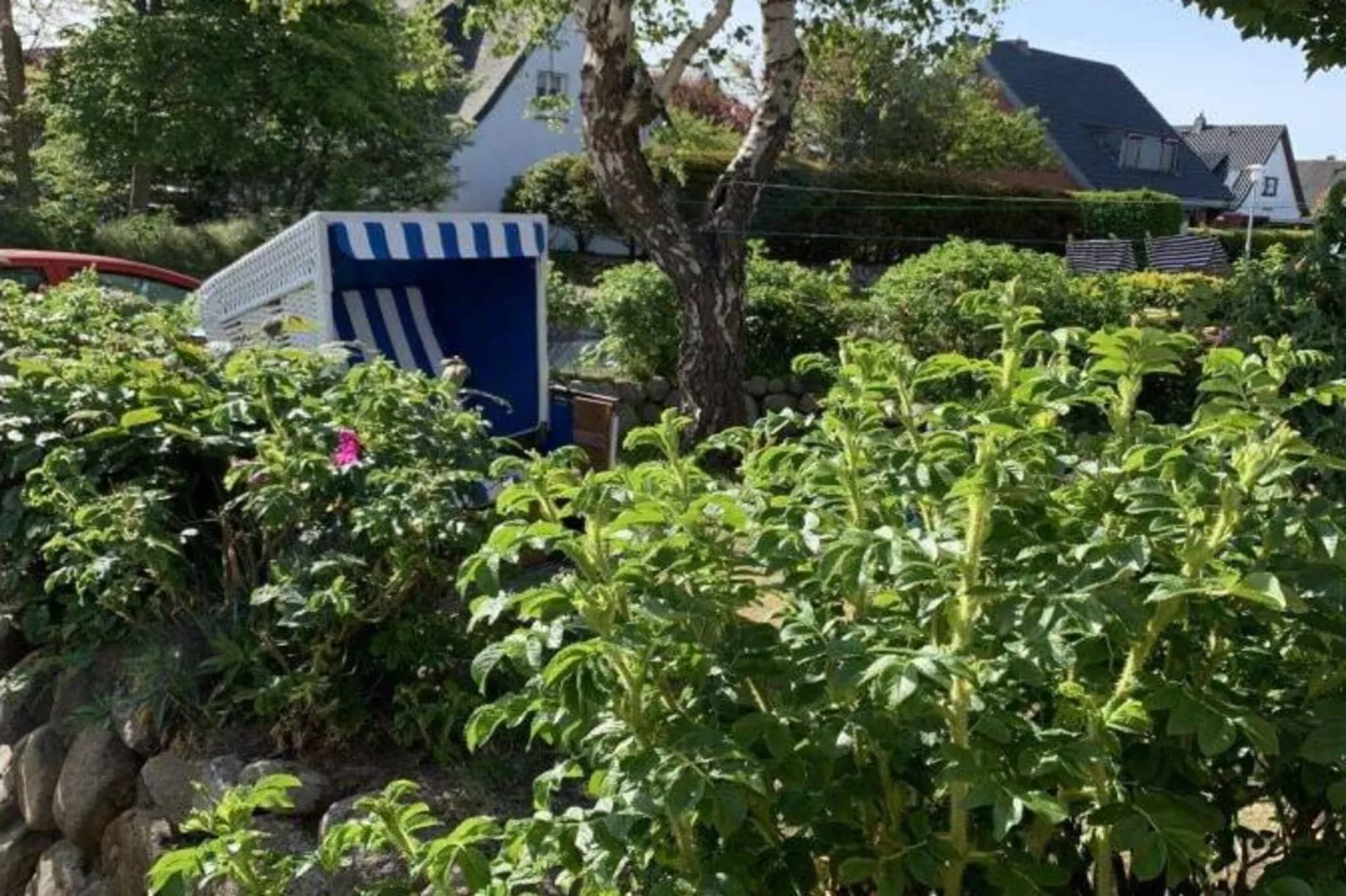 298006-Exterior in summer