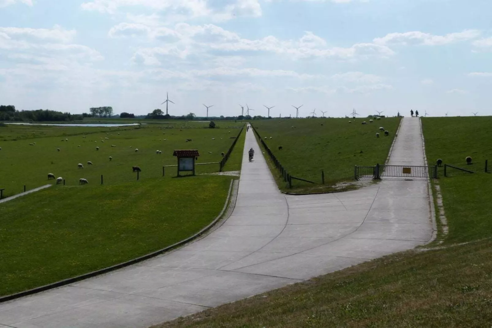 229889 - Gebiete Sommer 5 km