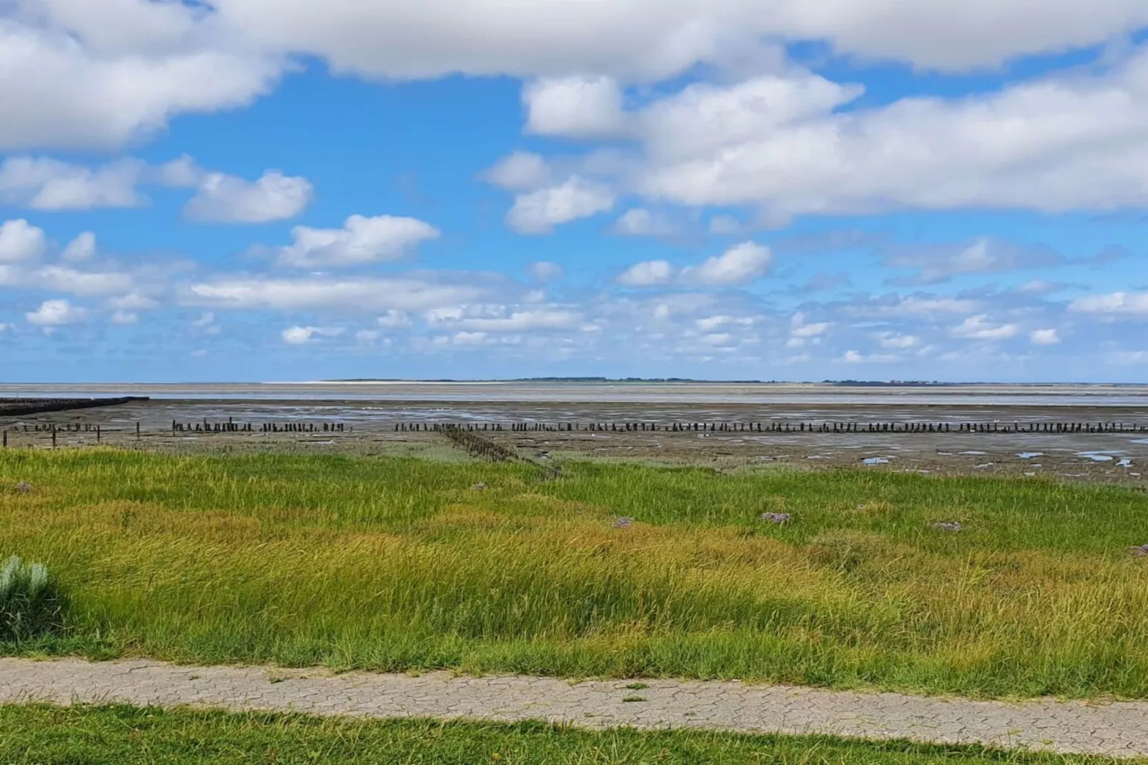 36342 - Image-tags.water view