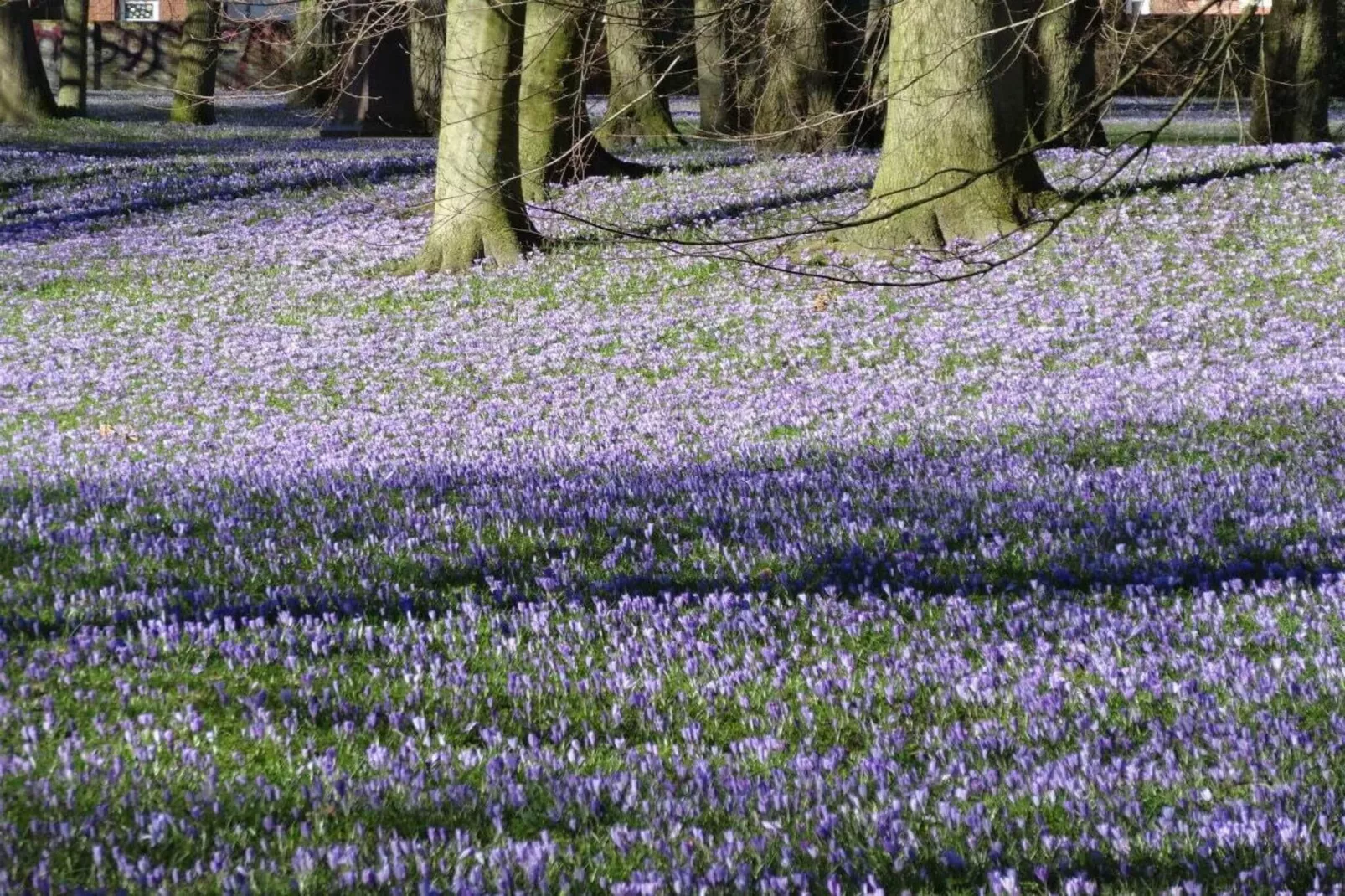 81405-Zones été à 5 km