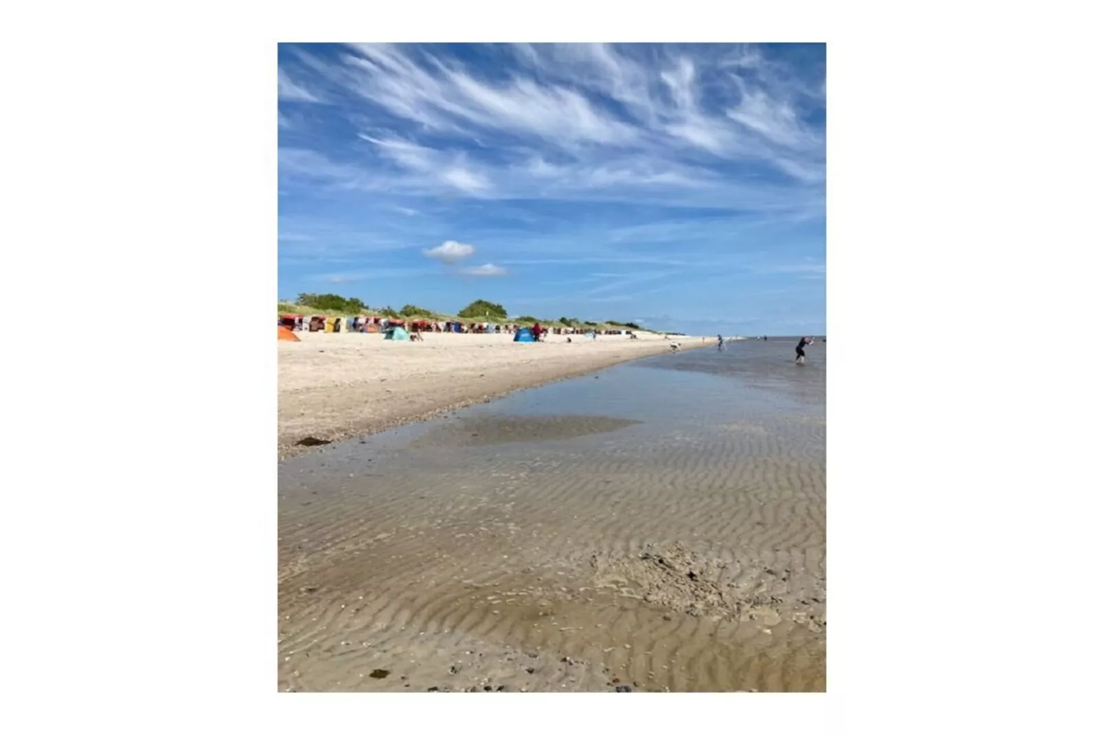 275862-Areas within 5km in summer