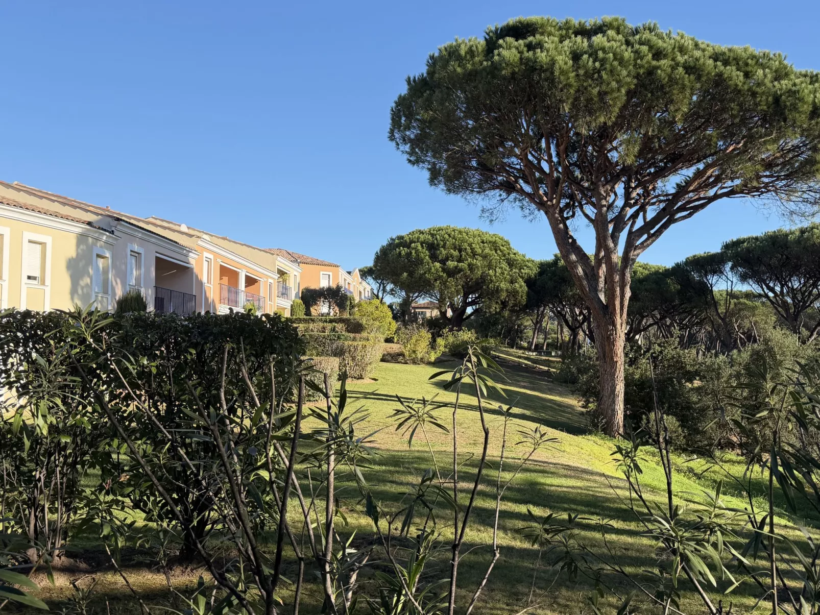 Les Pins Bleus-Draußen