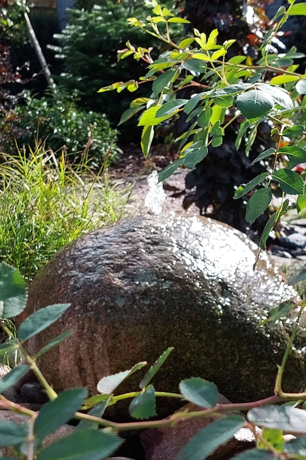 EifeLeben mit wunderschönem Garten-Outside