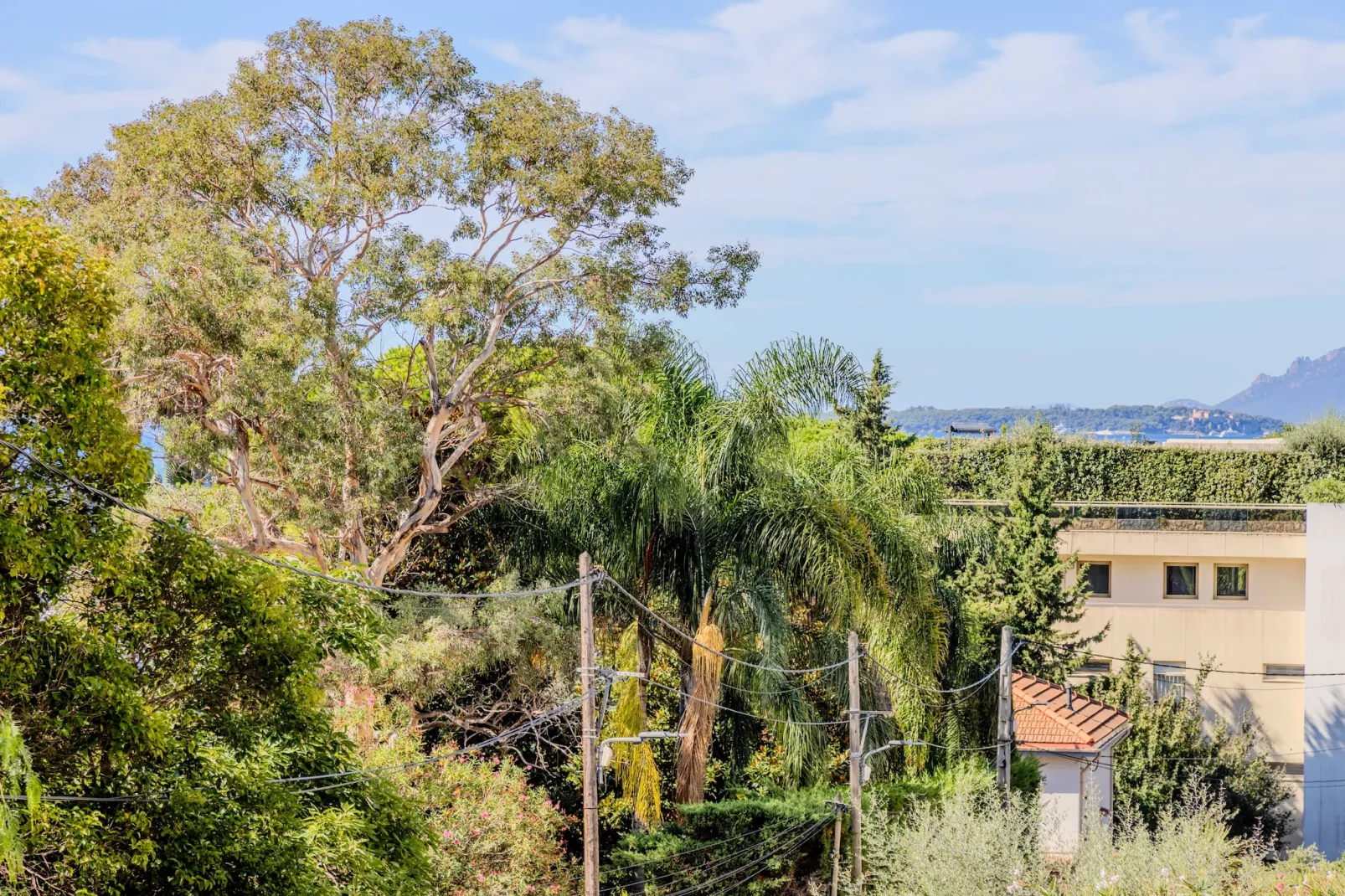 MB-2-PINS-M-Untagged