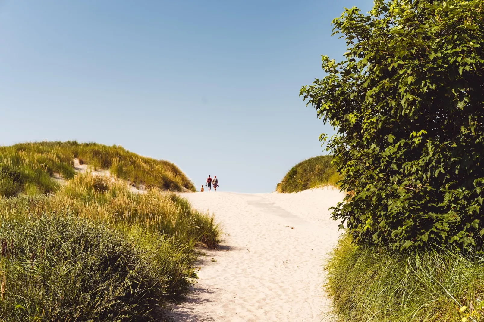 Duinchalet Ameland-Gebiete Sommer 5 km