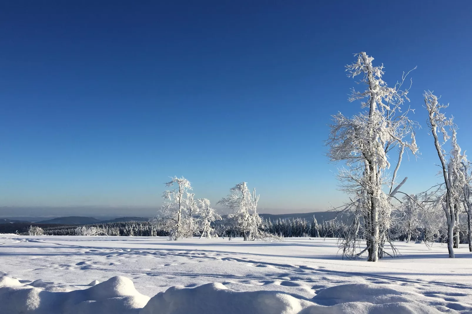 Casa Brocktega in Bestwig - Area within 1km in winter