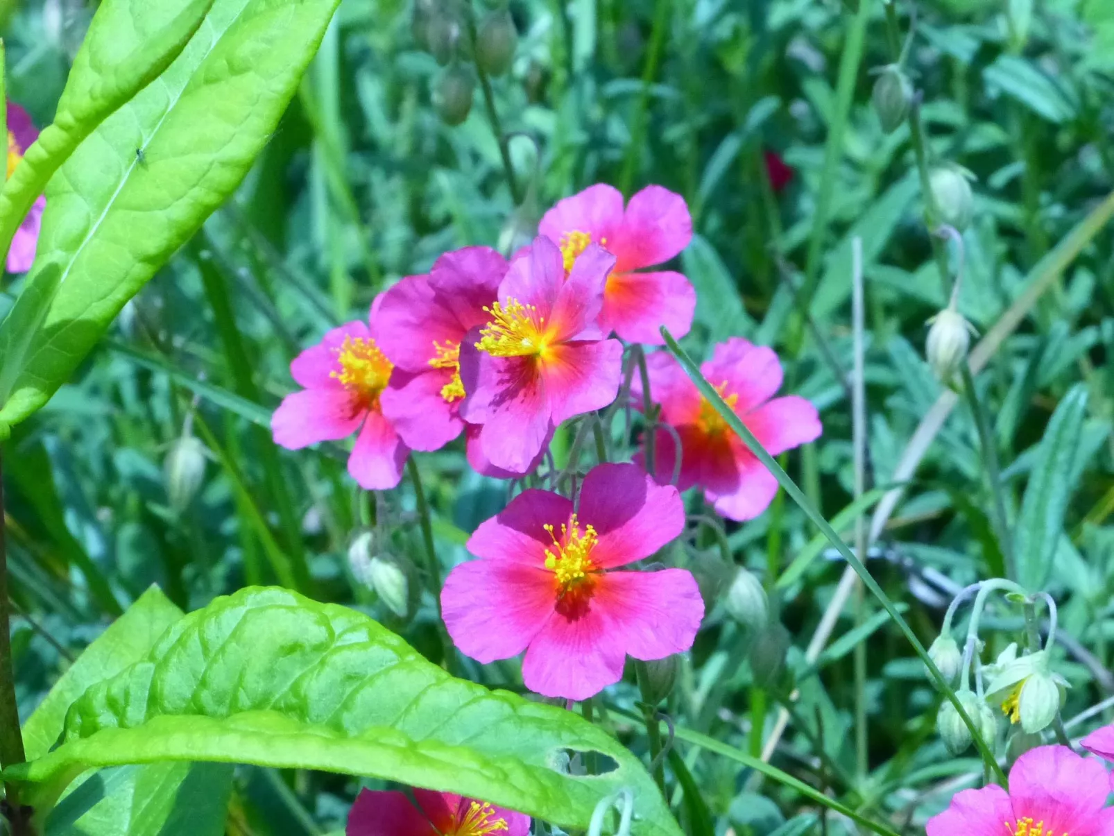 ApartmentmitAusblick - Image-tags.info