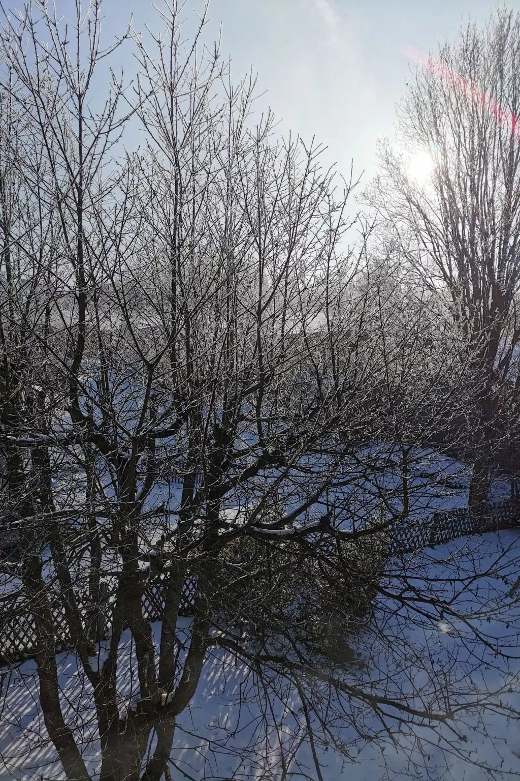 Mit großer Dachterrasse - Image-tags.info