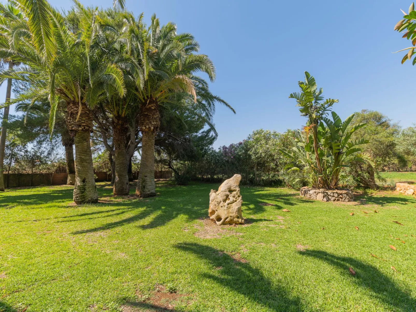 Jardi - Dehors