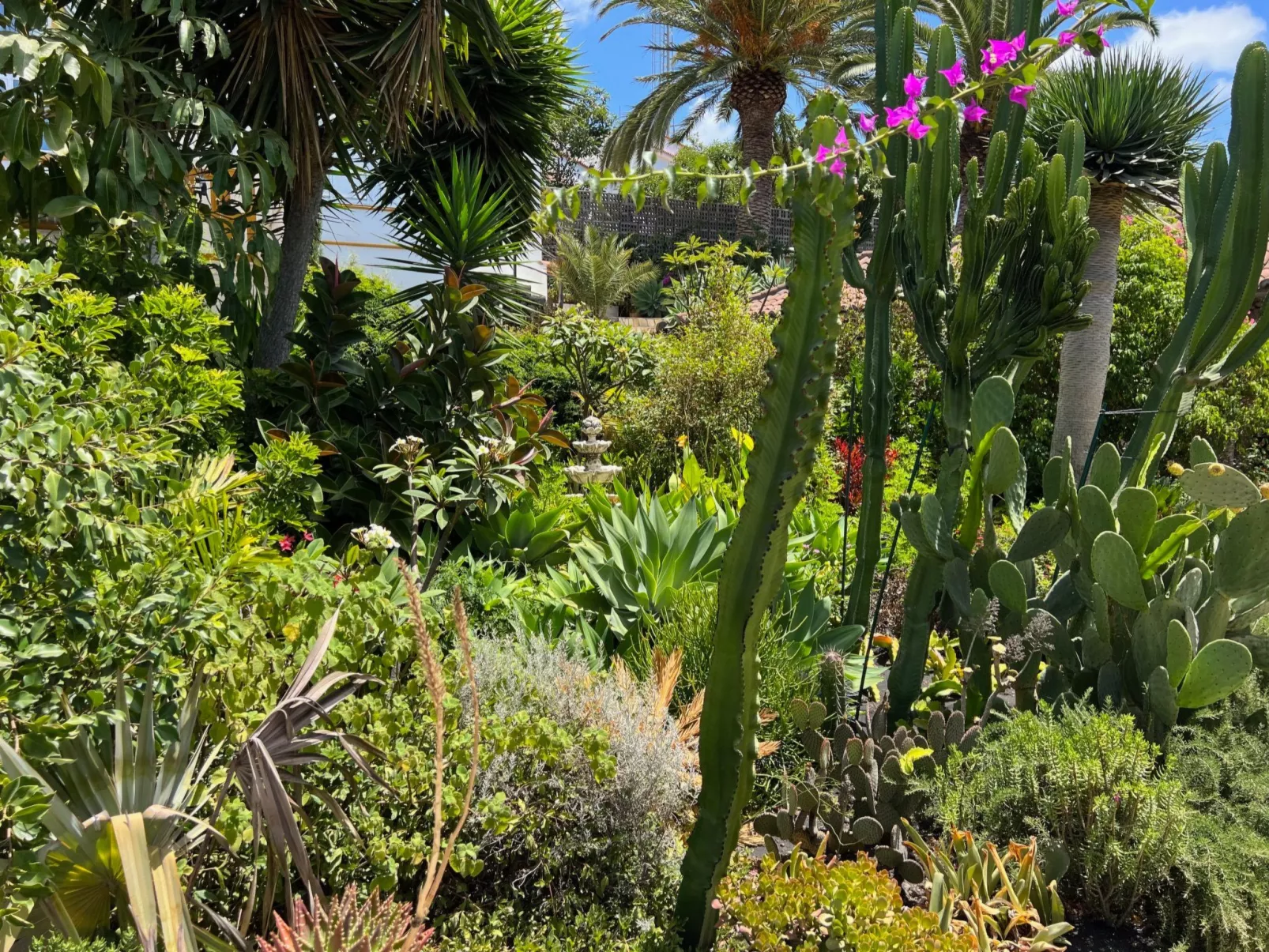 Casa Jardín Tropical - Image-tags.info