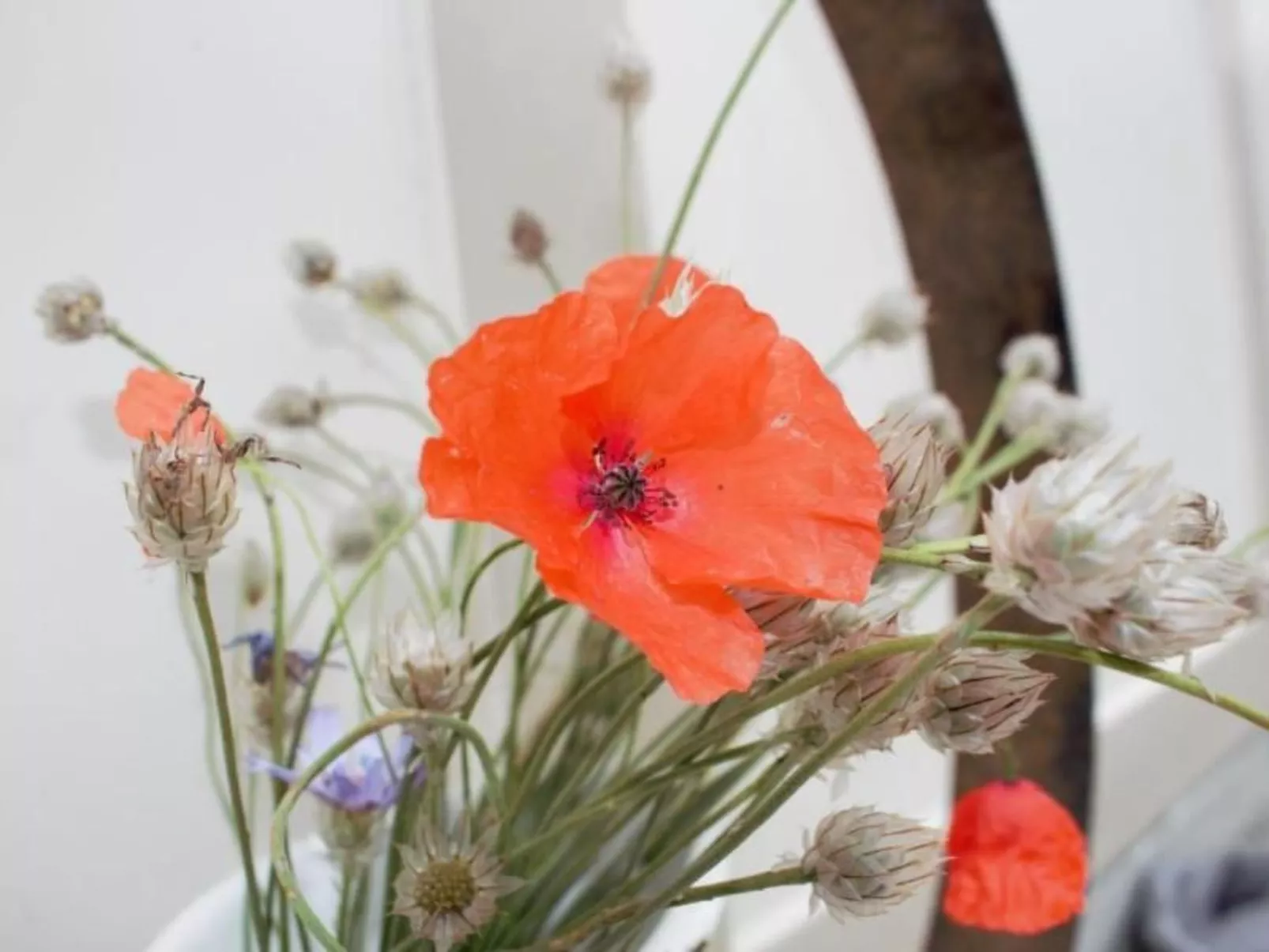 Verschlafen... in sanfte Hügel eingebettet. - Image-tags.info