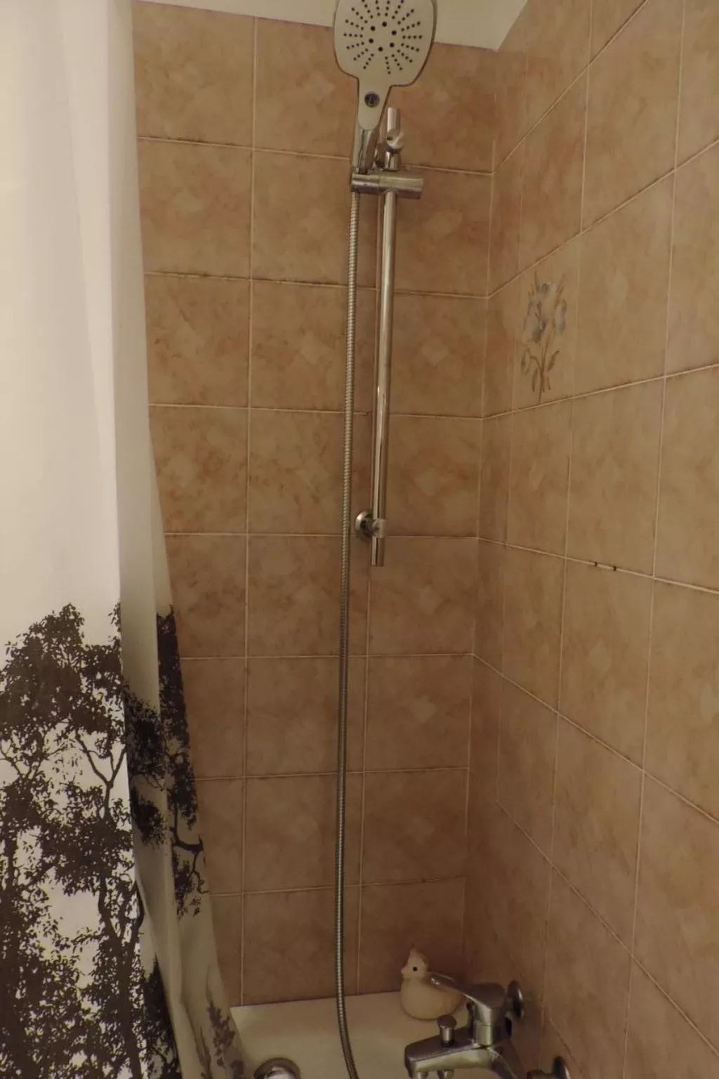 'Harmony - Image-tags.info