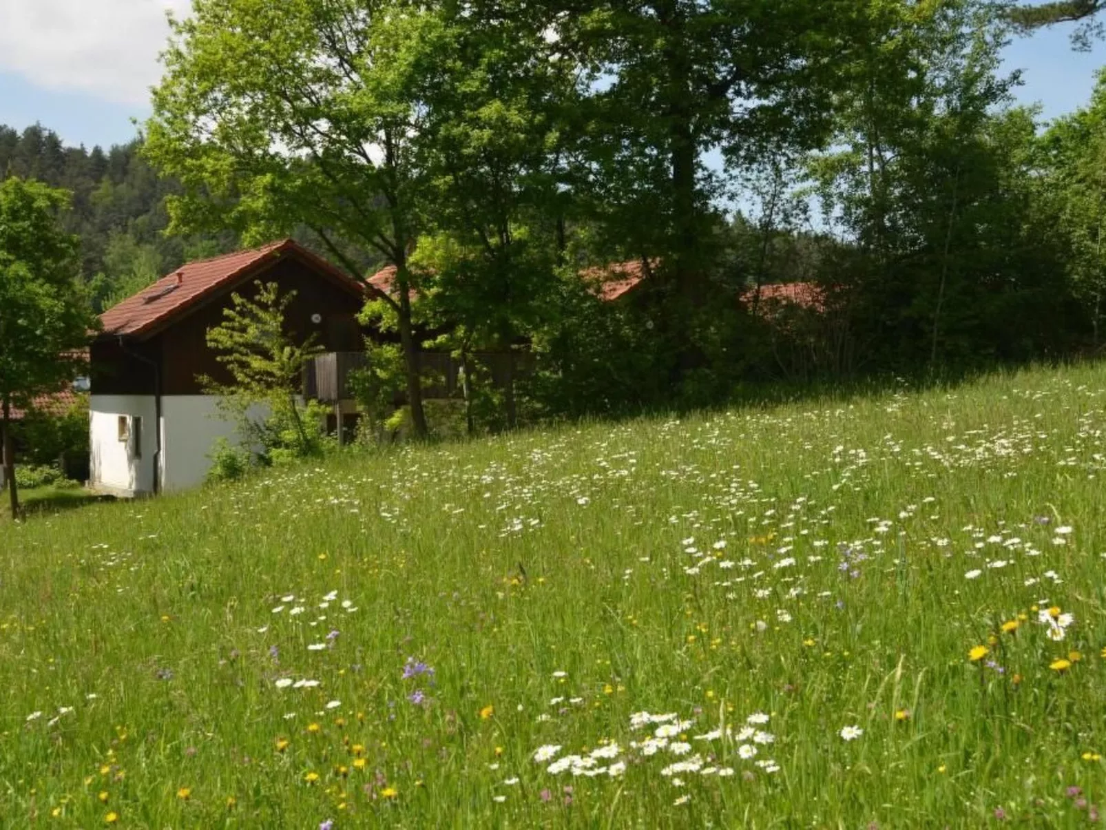 Appartement in Berghäuser mit Sonnigem Balkon - Image-tags.info