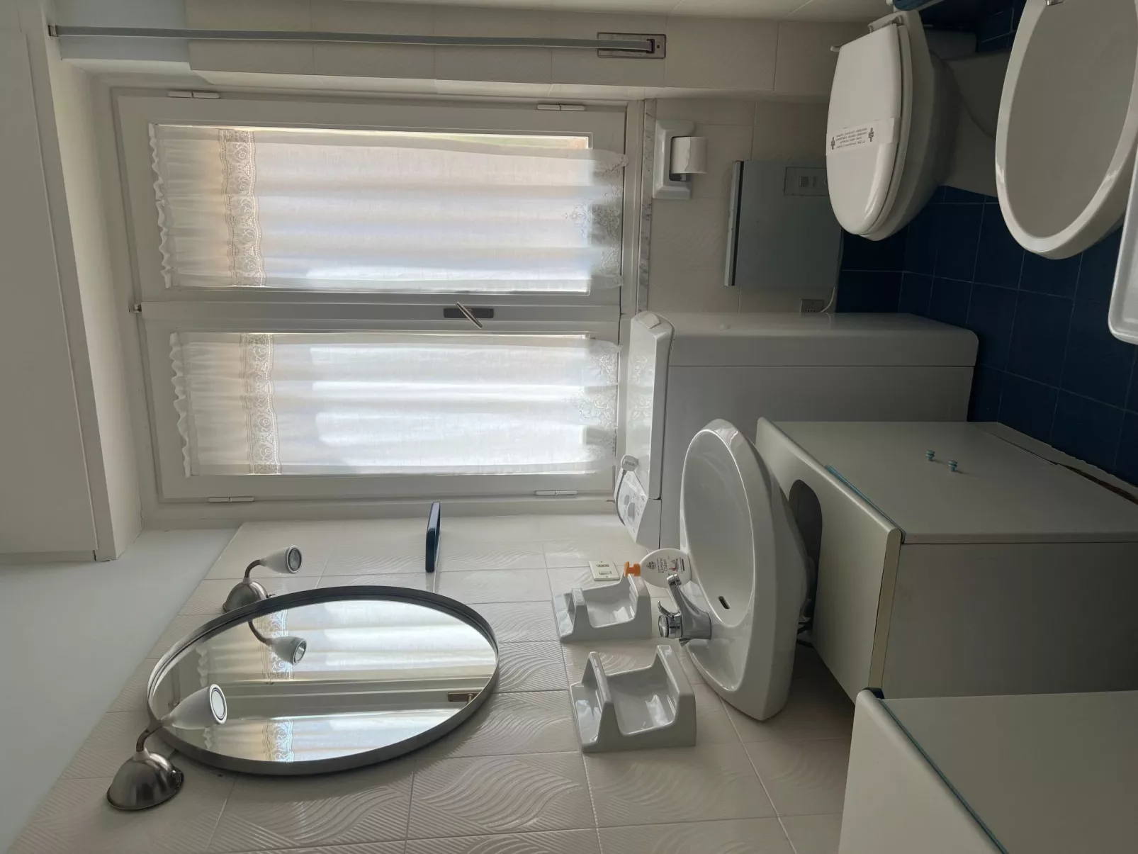 Pitosforo - Image-tags.info