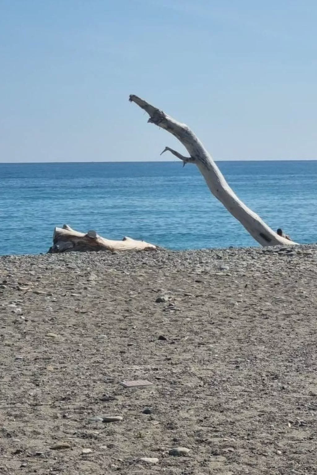 Wohnung mit Garten, wenige Minuten vom Meer entfernt - Image-tags.info