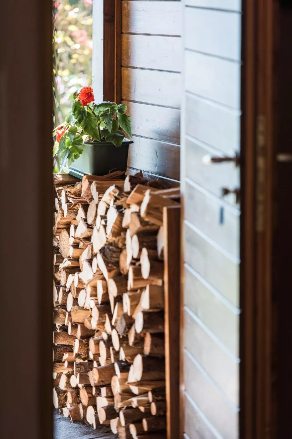 Bärenkopf supreme Studio 4 - Image-tags.info