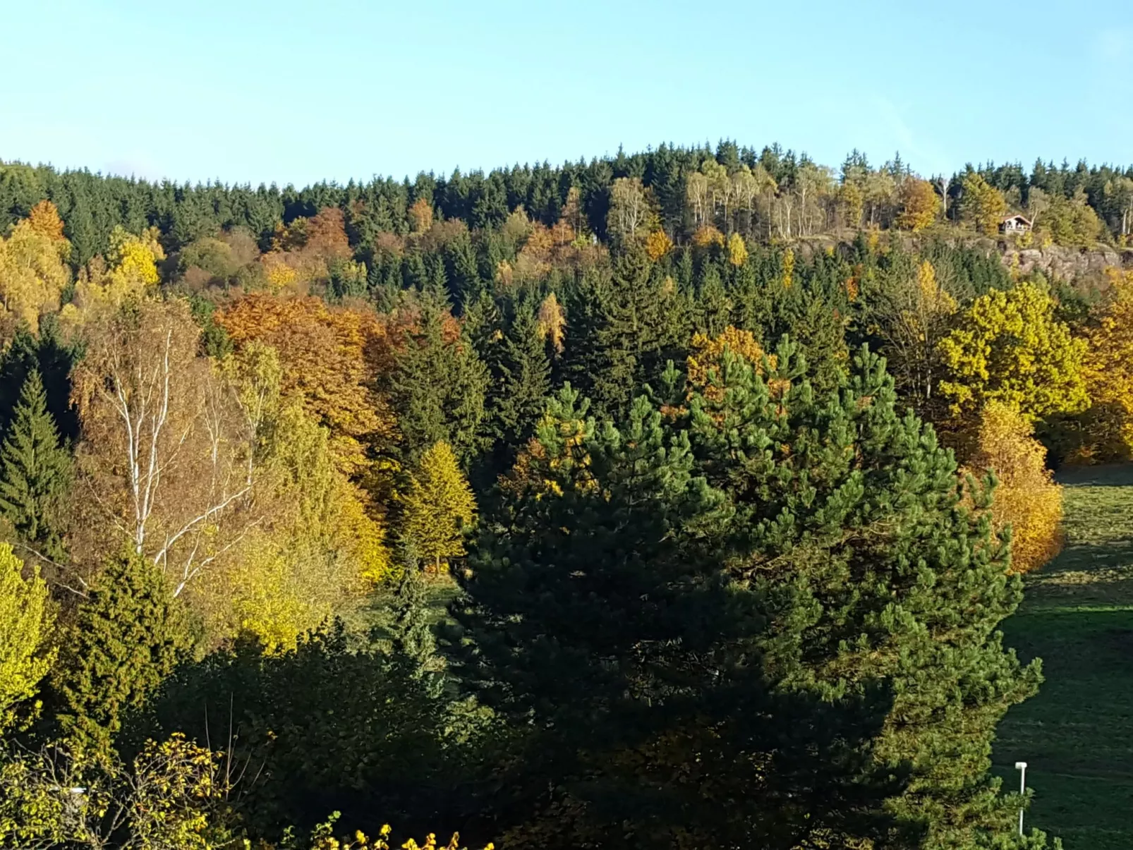 Komfortwohnung - Image-tags.info