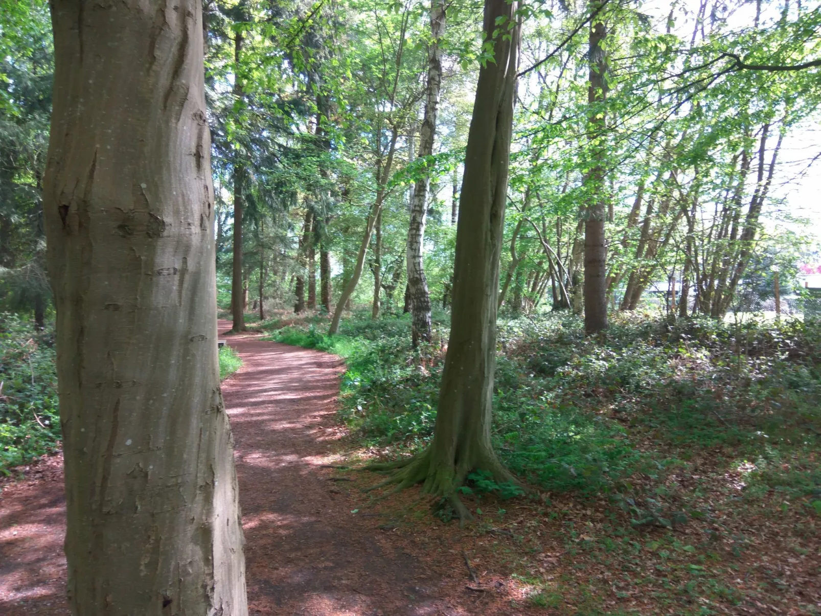 Fewo Waldblick - Image-tags.info