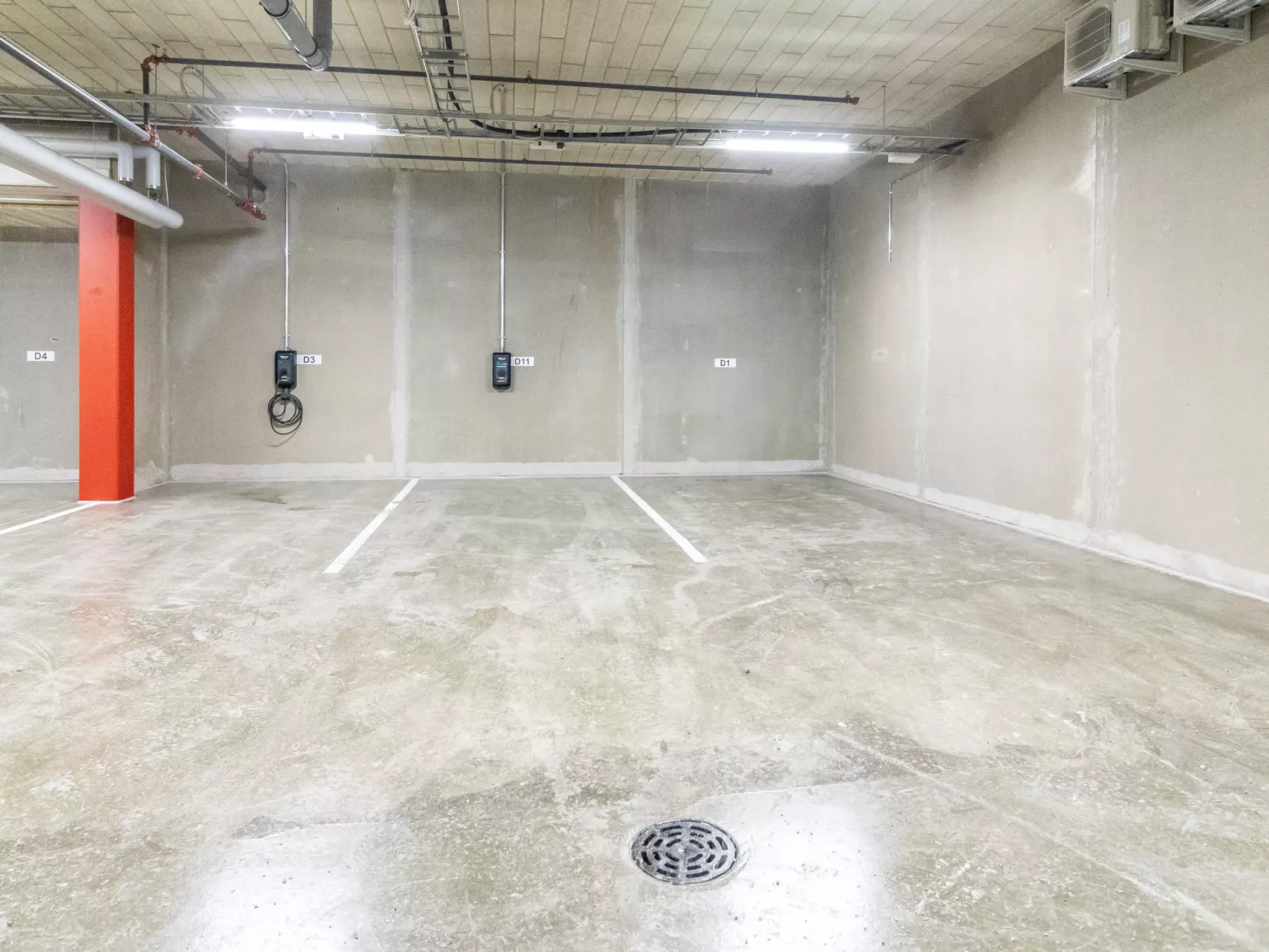 Lingonberry d11 - Drinnen