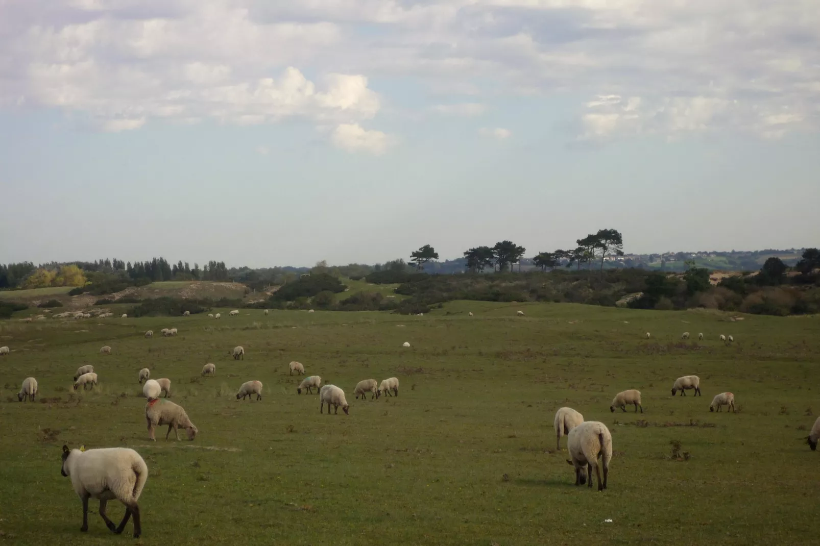 Studio au 1er étage - Gebiete Sommer 5 km