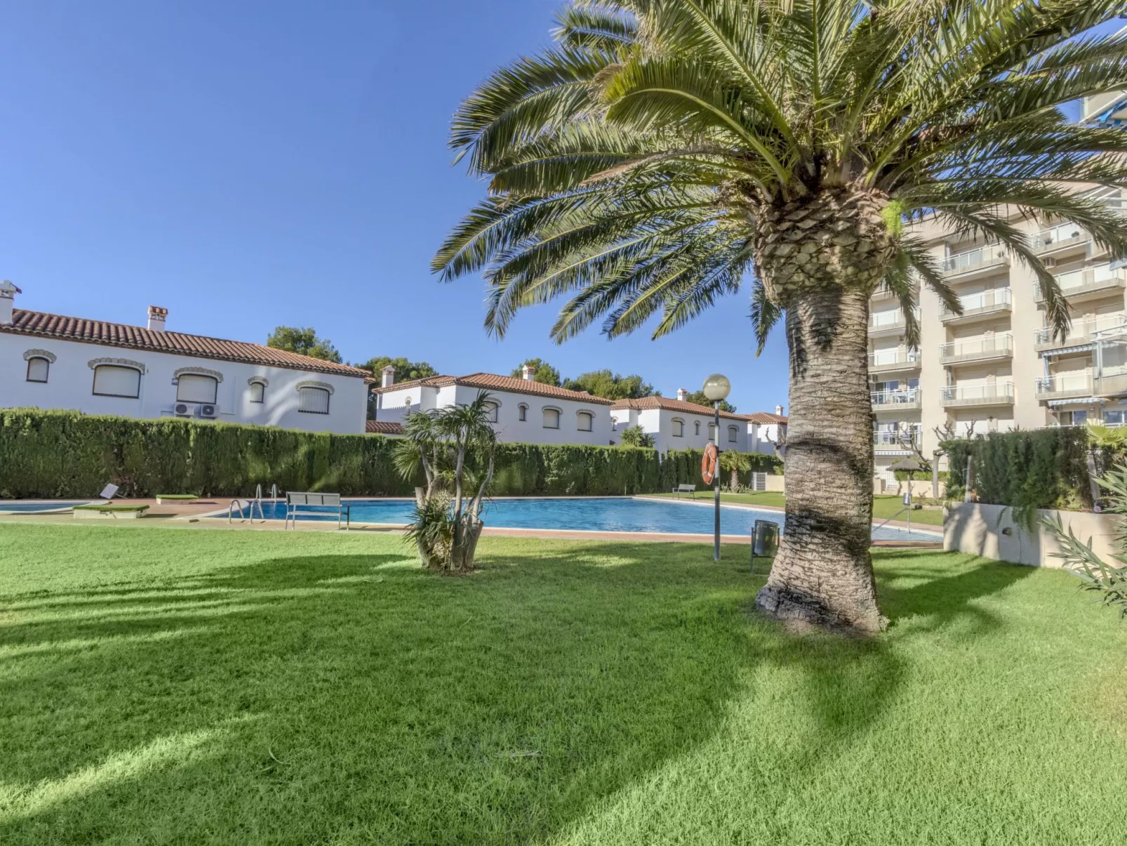 Los Pelicanos V - Dehors